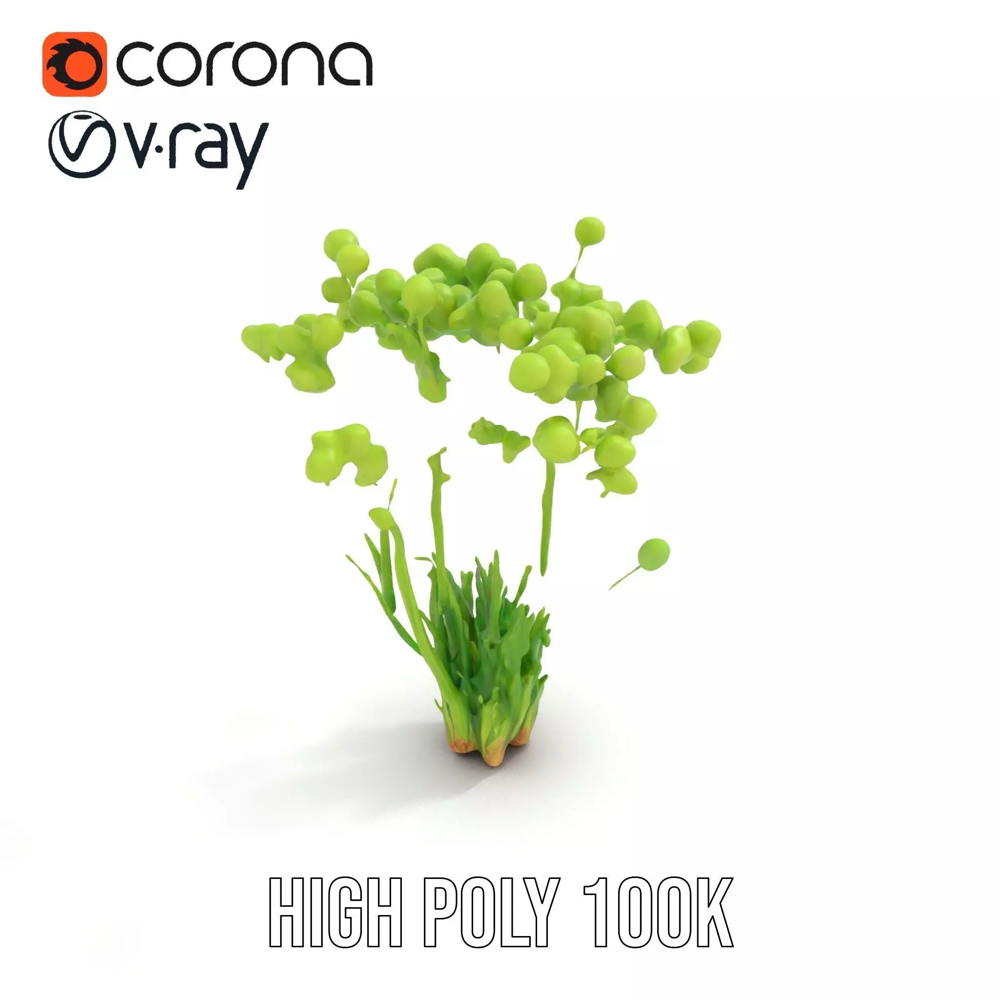 Green Seed Pods model pack Low-poly 3D model_18