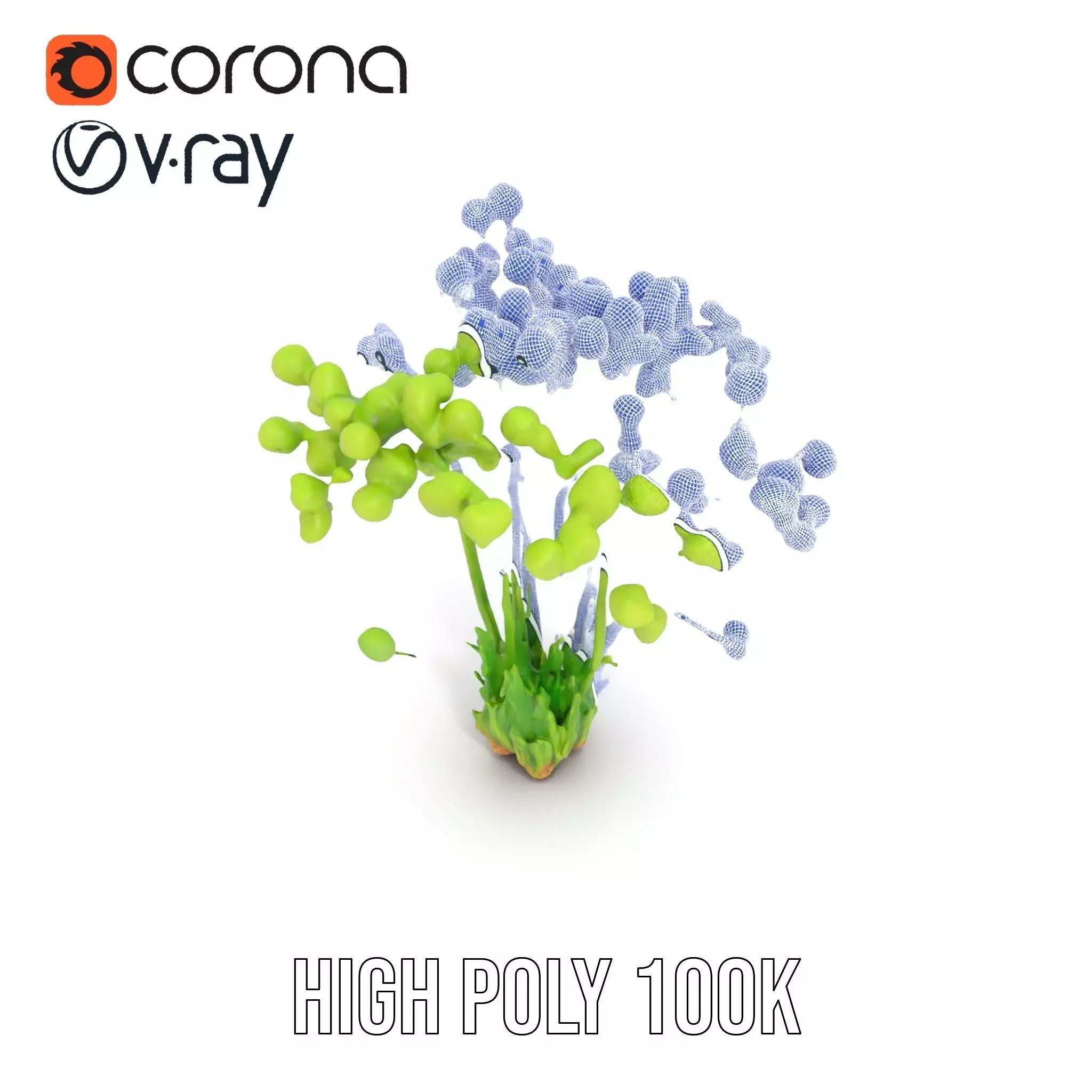 Green Seed Pods model pack Low-poly 3D model_31