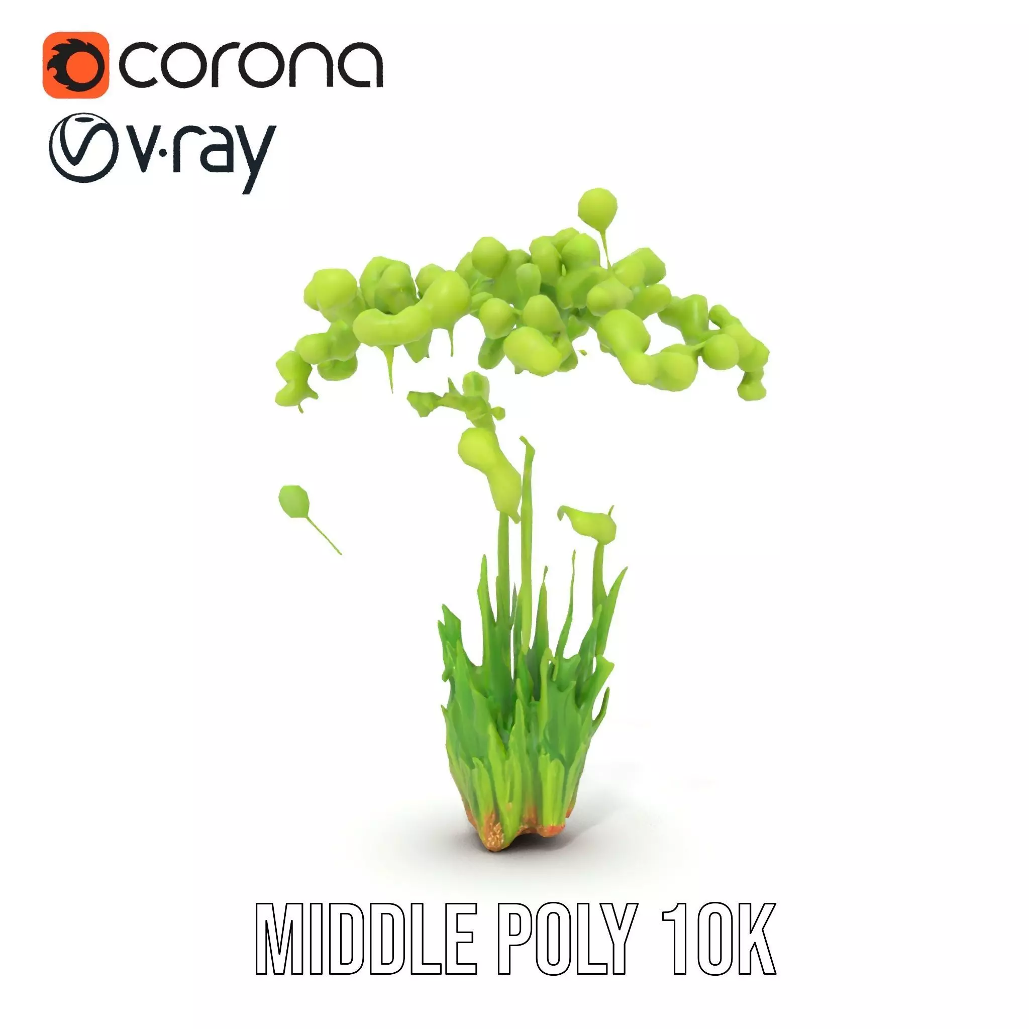 Green Seed Pods model pack Low-poly 3D model_6