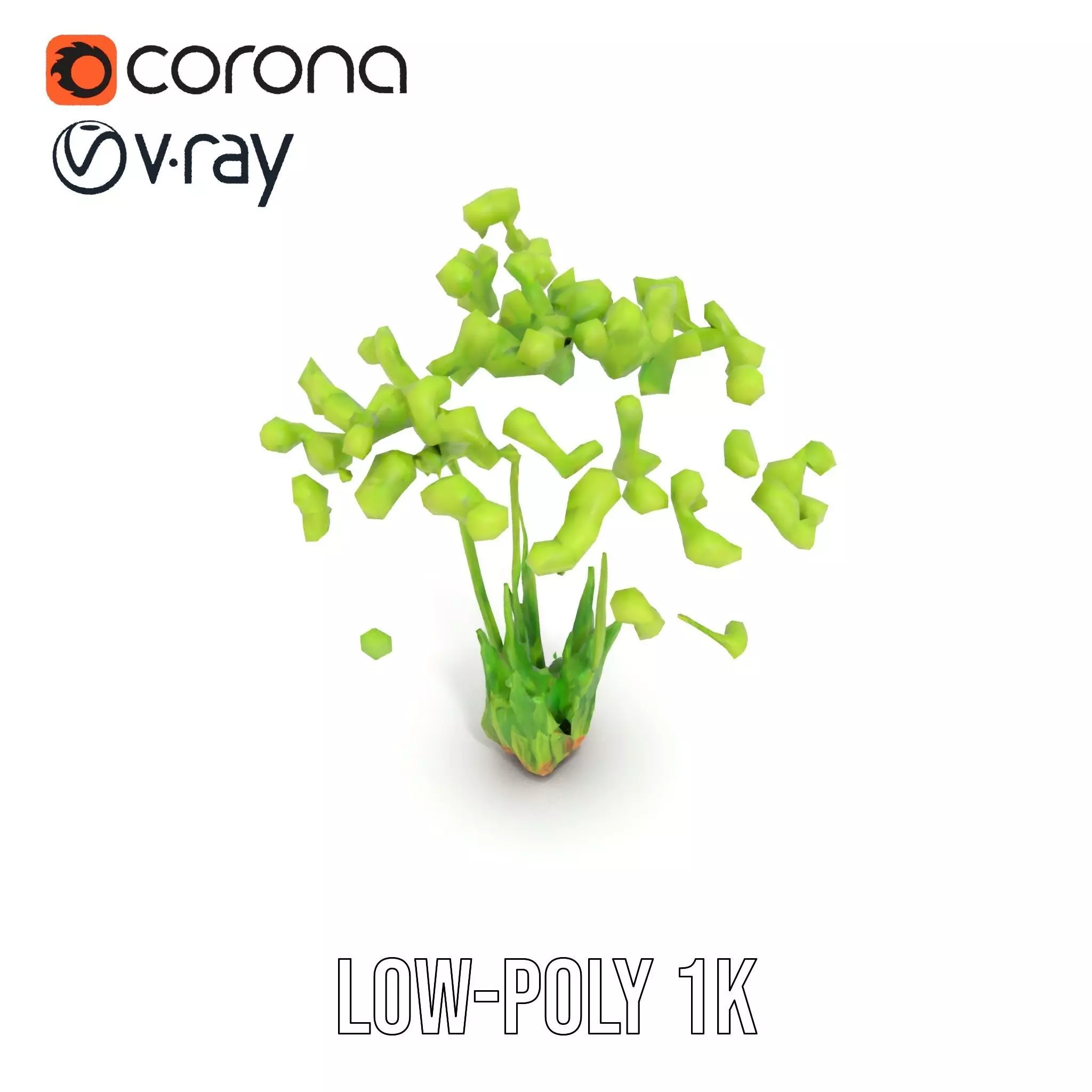 Green Seed Pods model pack Low-poly 3D model_7