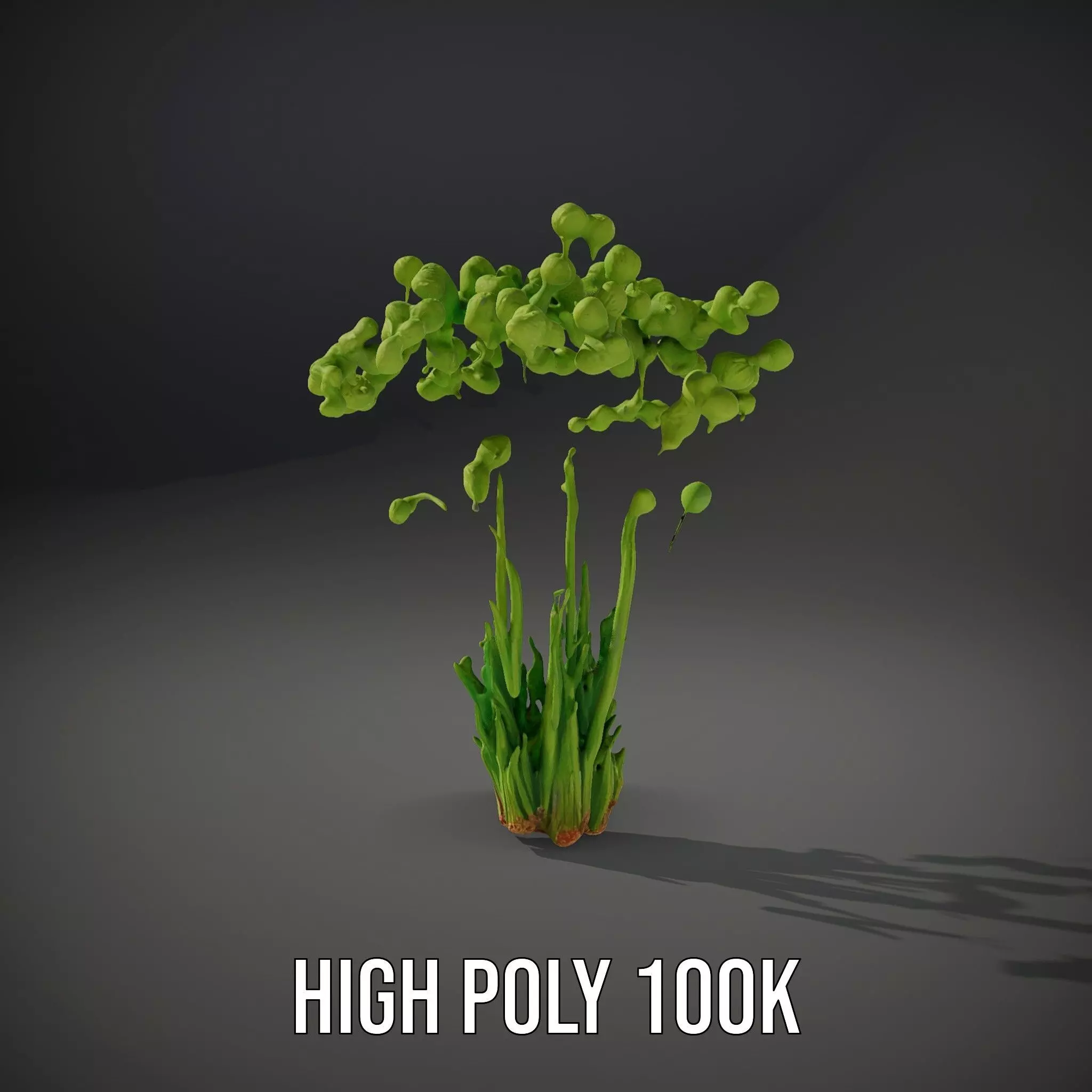Green Seed Pods model pack Low-poly 3D model_10