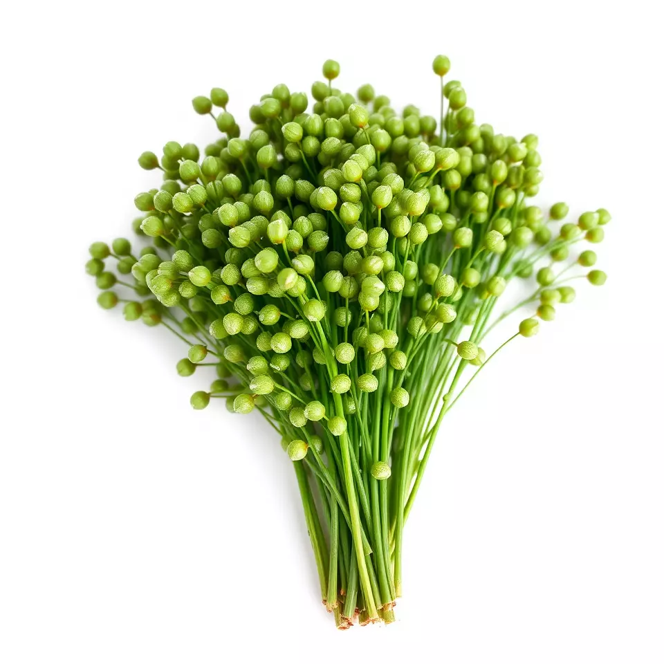 Green Seed Pods model pack Low-poly 3D model_2