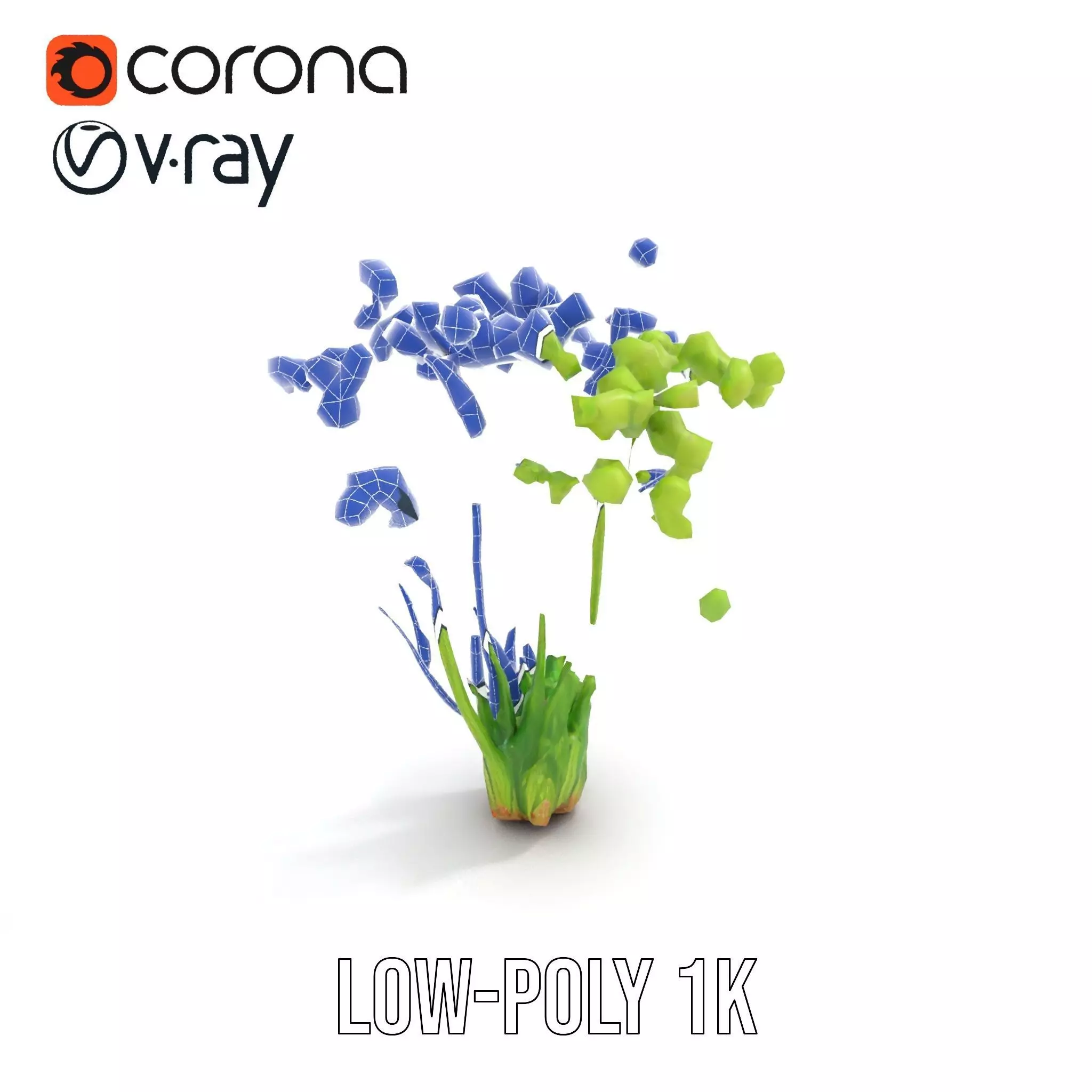 Green Seed Pods model pack Low-poly 3D model_30