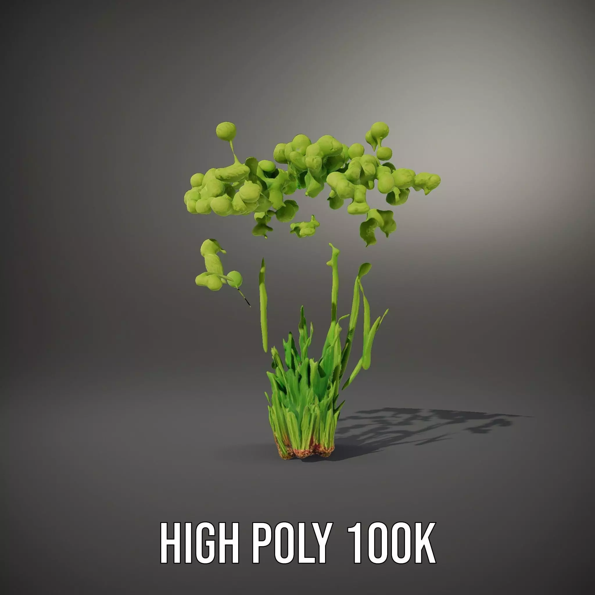 Green Seed Pods model pack Low-poly 3D model_8