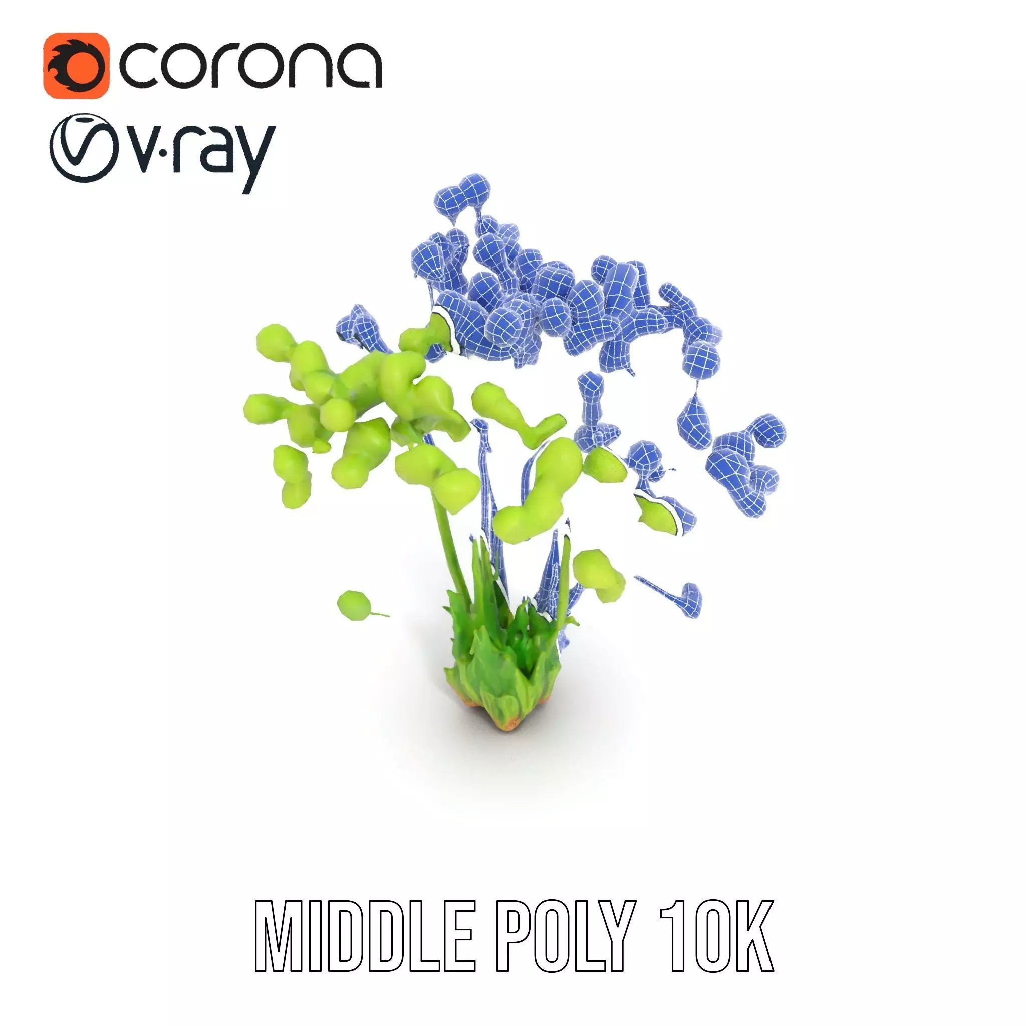 Green Seed Pods model pack Low-poly 3D model_26