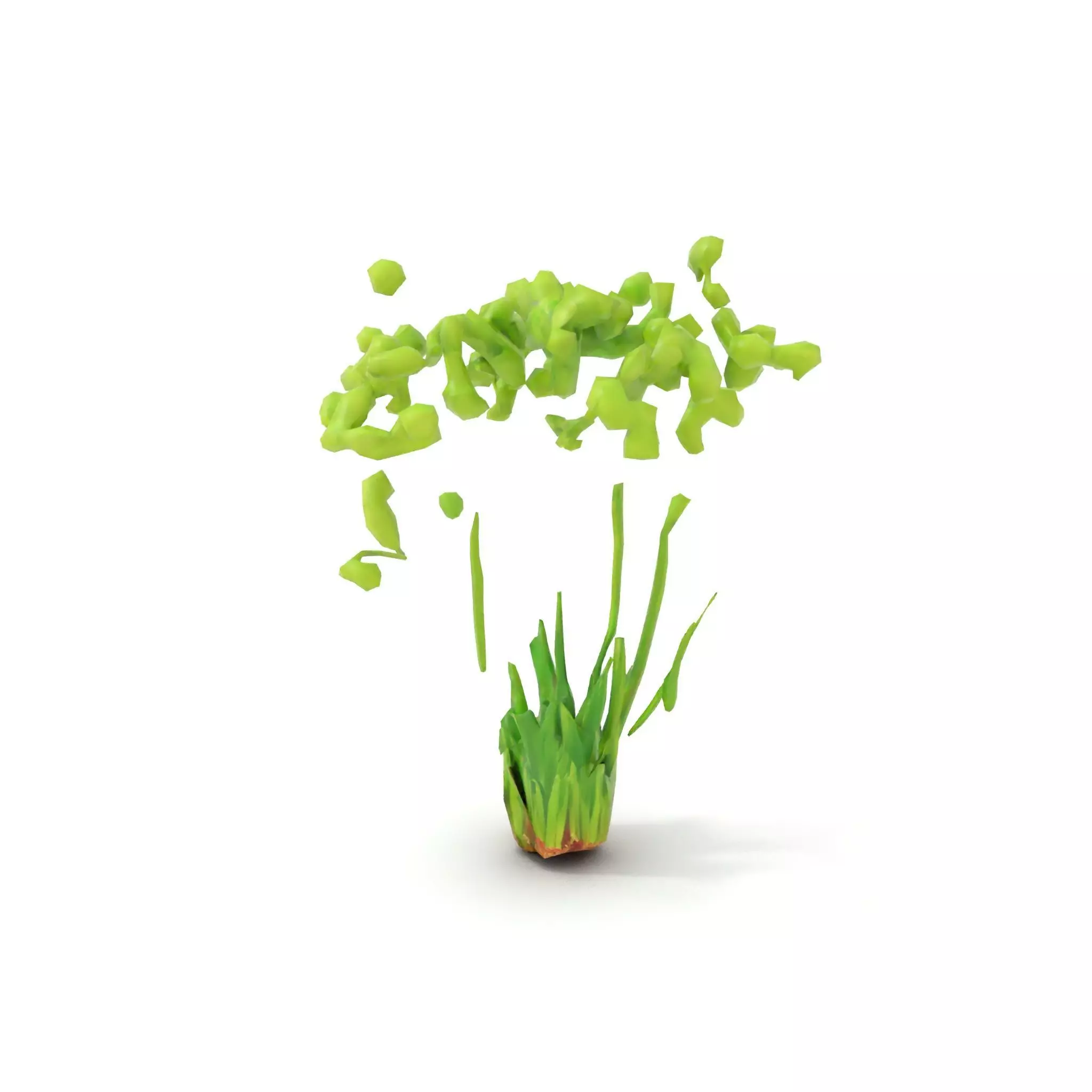 Green Seed Pods model pack Low-poly 3D model_12