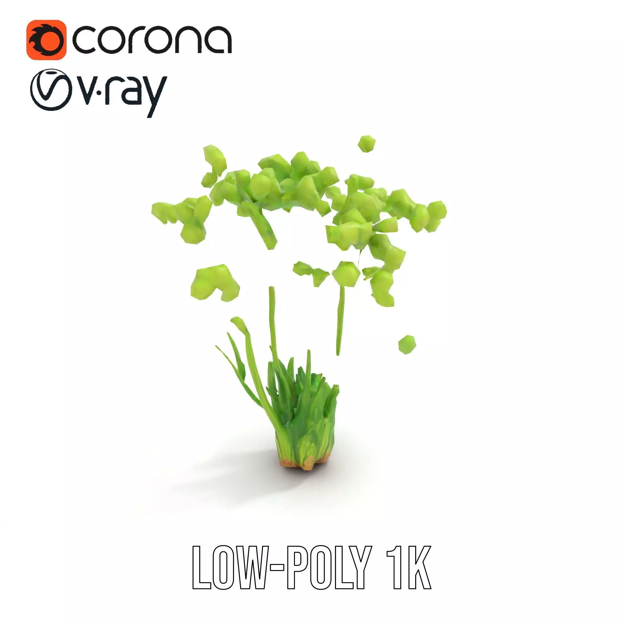 Green Seed Pods model pack Low-poly 3D model_25