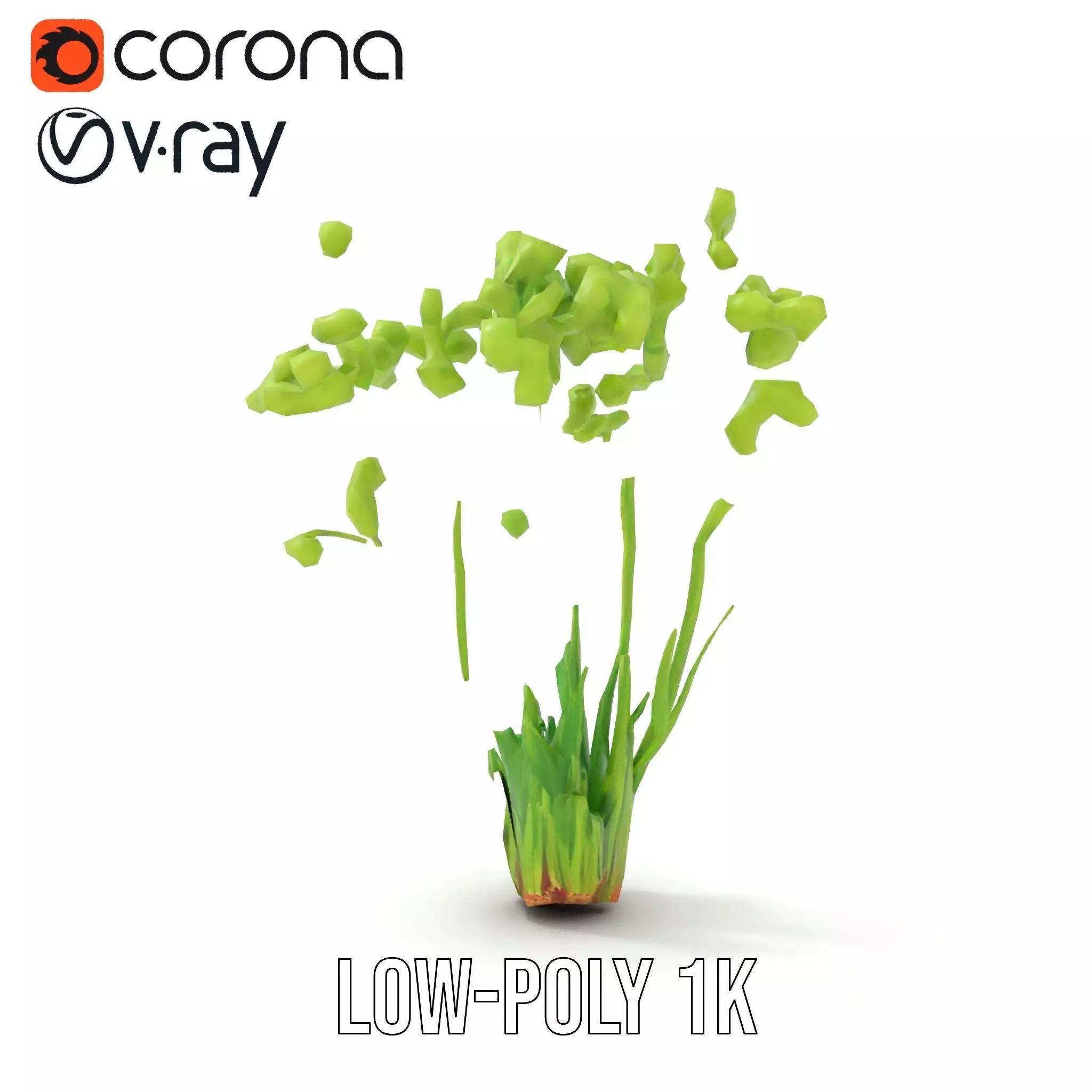 Green Seed Pods model pack Low-poly 3D model_9