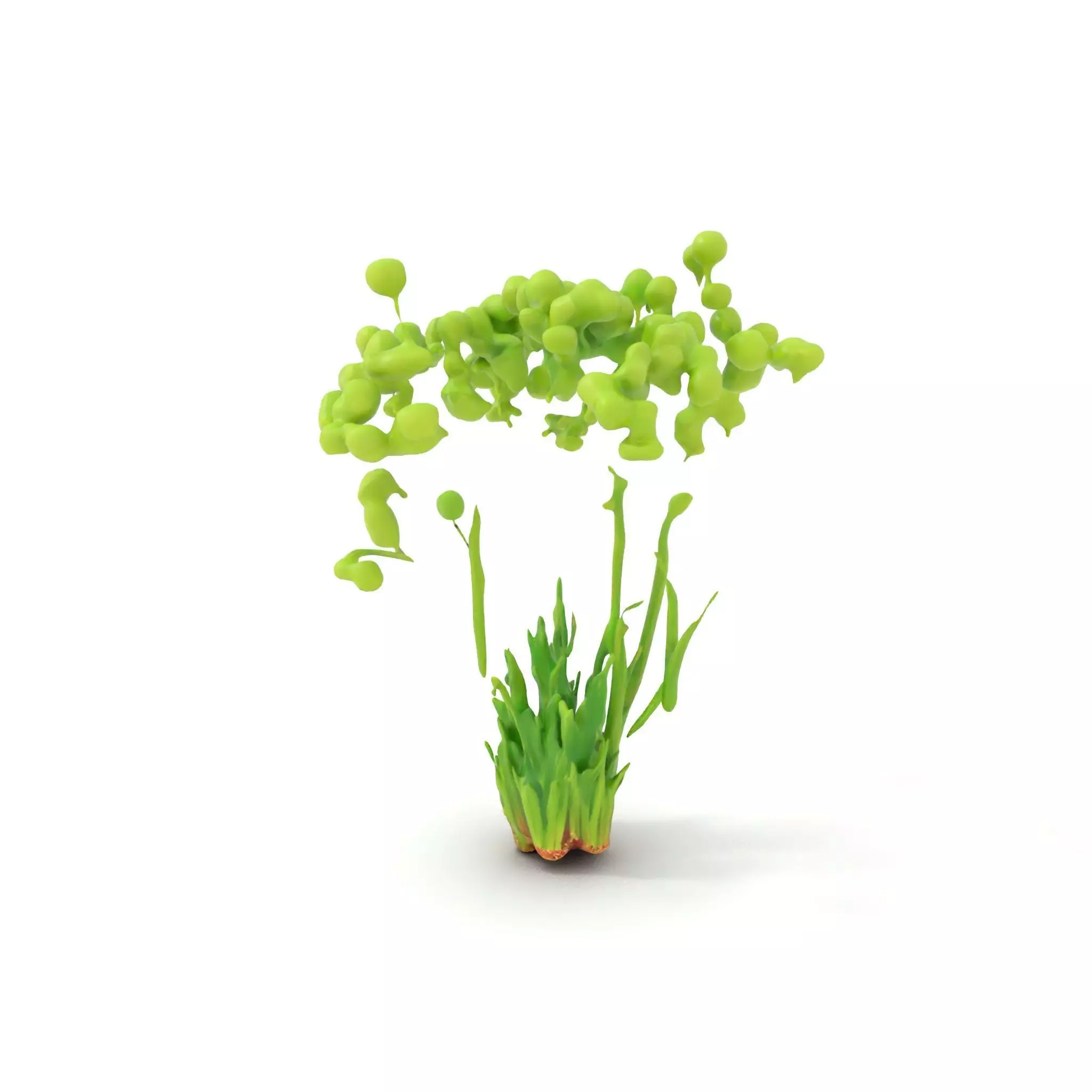 Green Seed Pods model pack Low-poly 3D model_0
