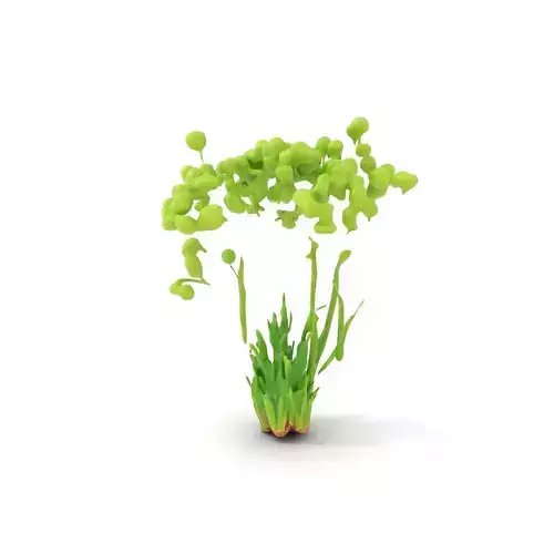Green Seed Pods model pack Low-poly 3D model