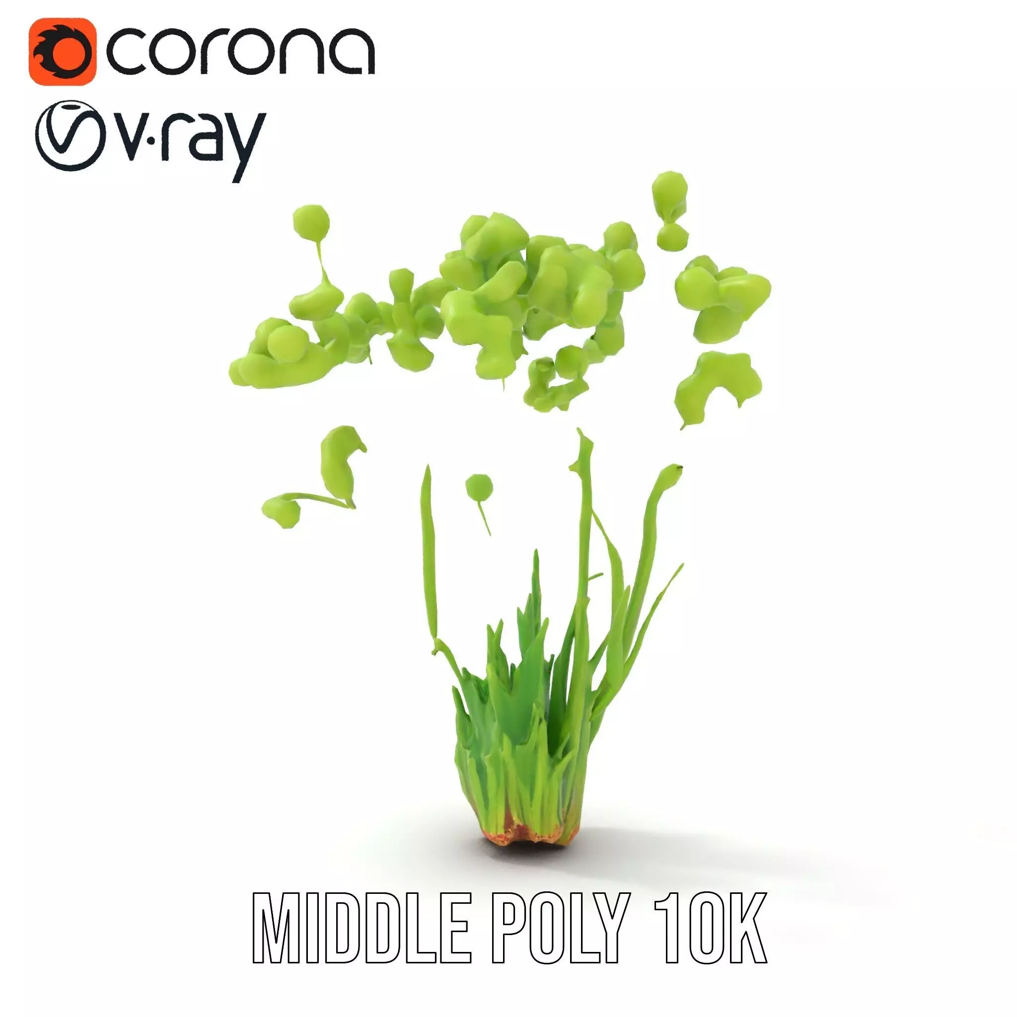 Green Seed Pods model pack Low-poly 3D model_5