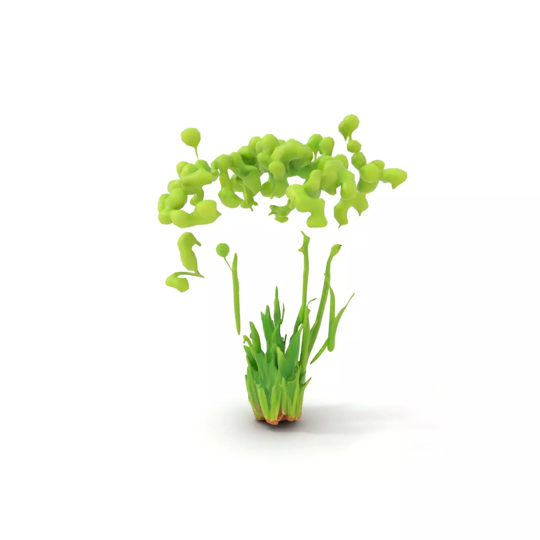 Green Seed Pods model pack Low-poly 3D model_11