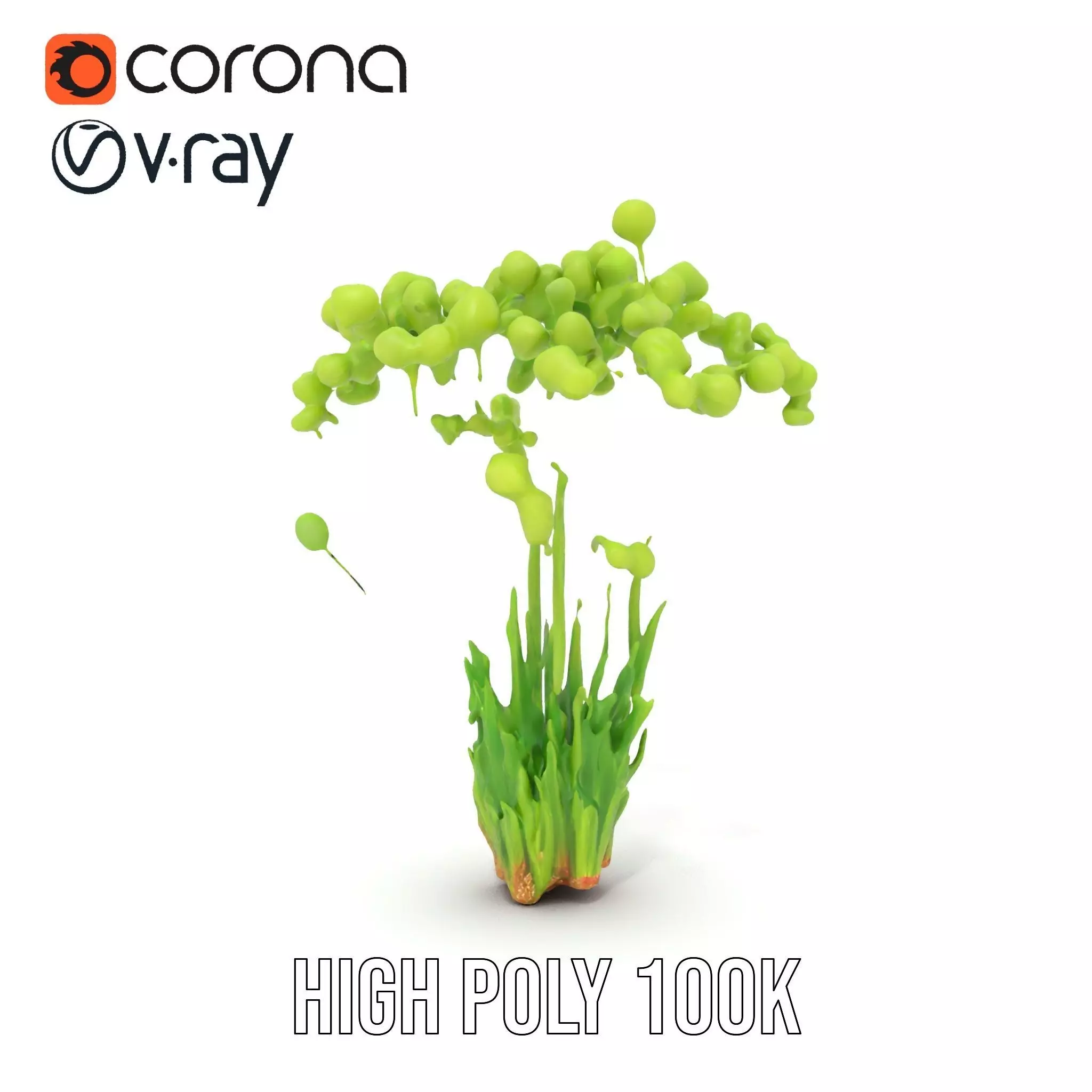 Green Seed Pods model pack Low-poly 3D model_15