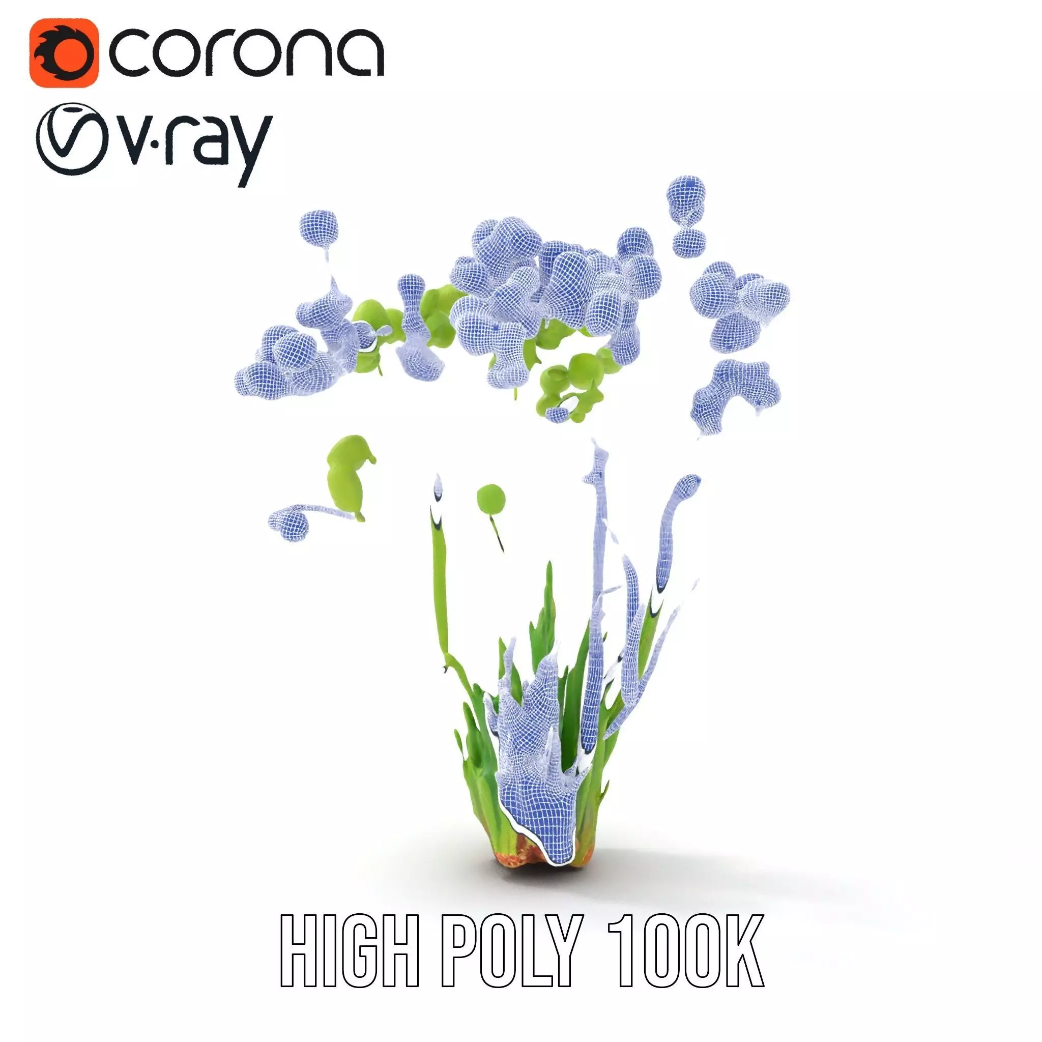 Green Seed Pods model pack Low-poly 3D model_33