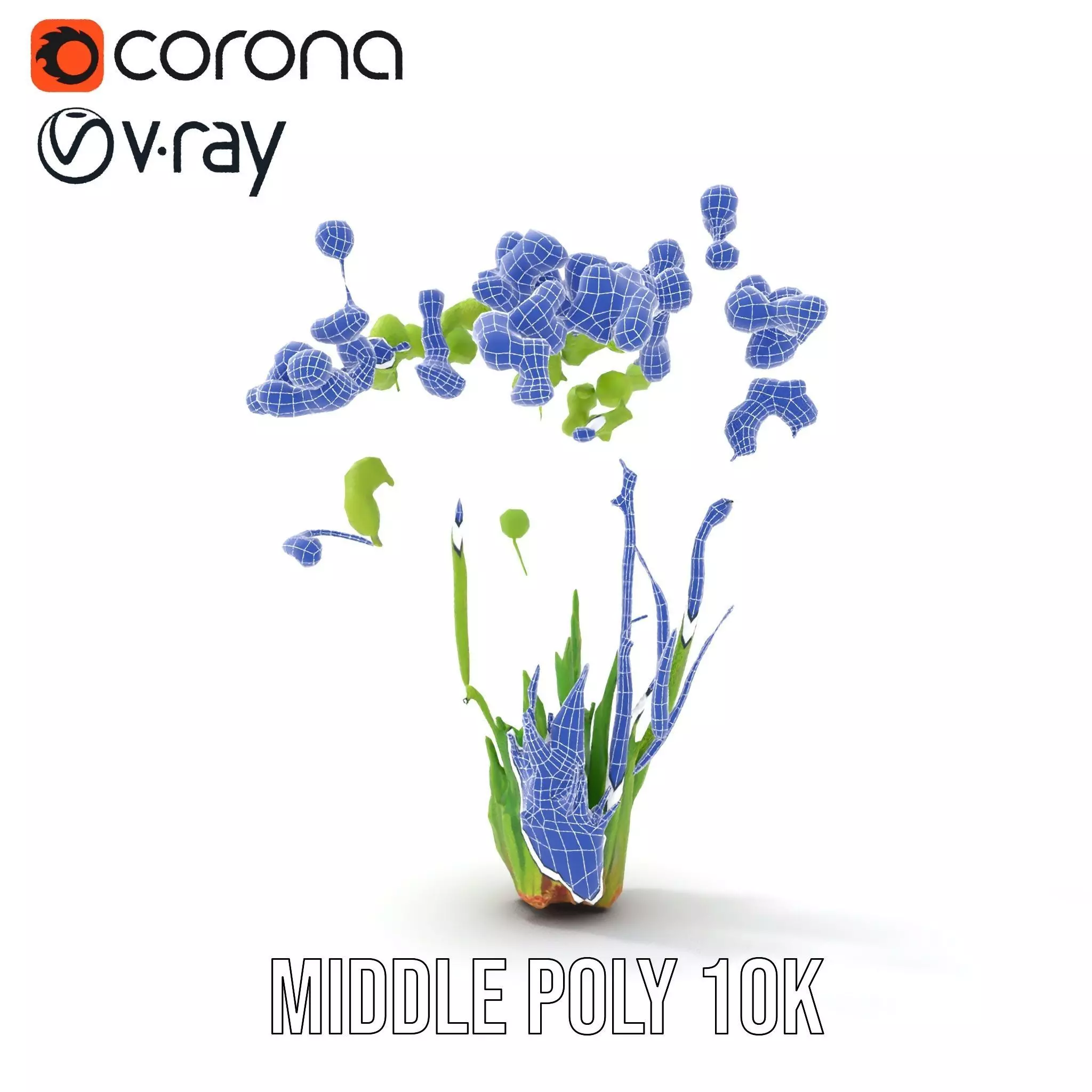 Green Seed Pods model pack Low-poly 3D model_21