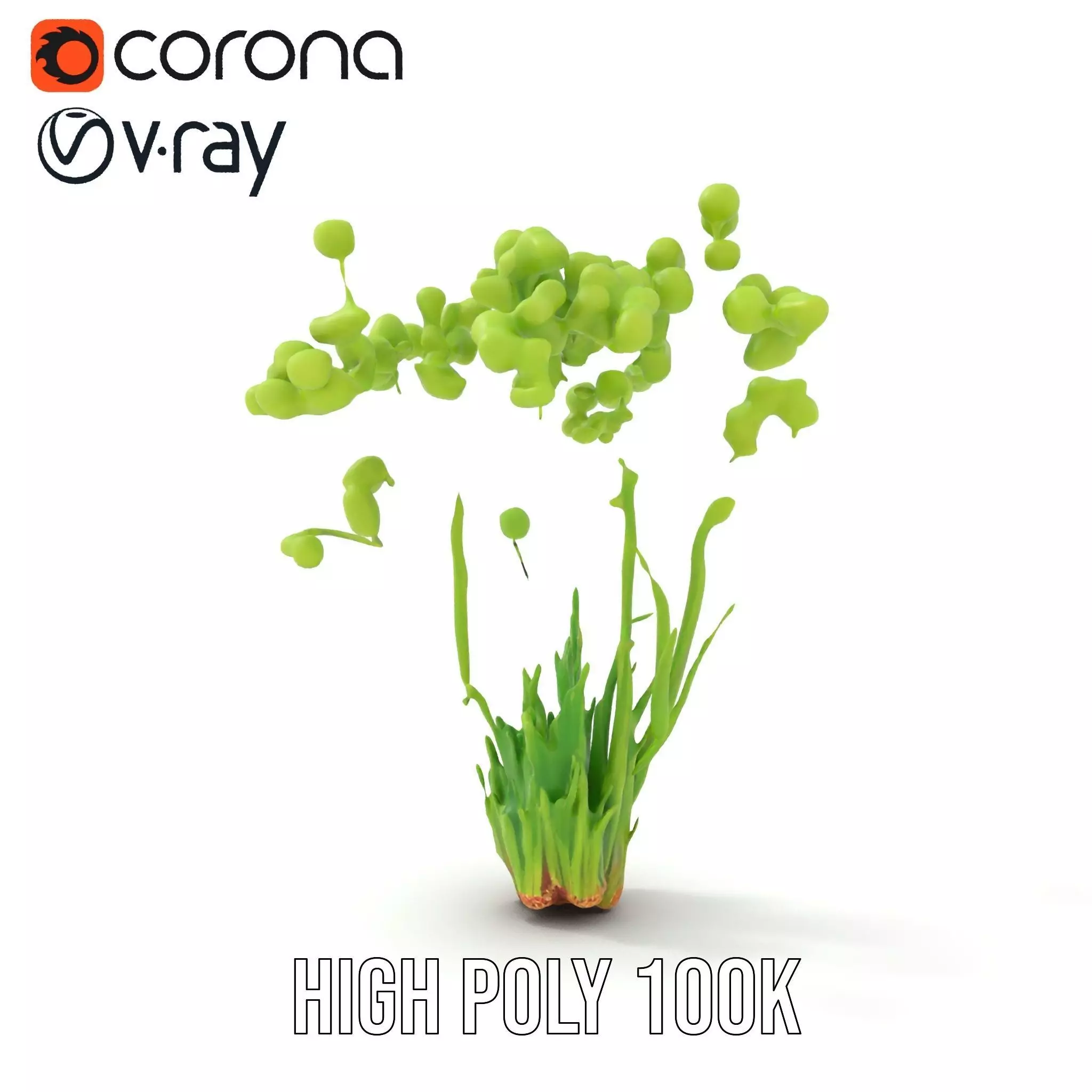 Green Seed Pods model pack Low-poly 3D model_32