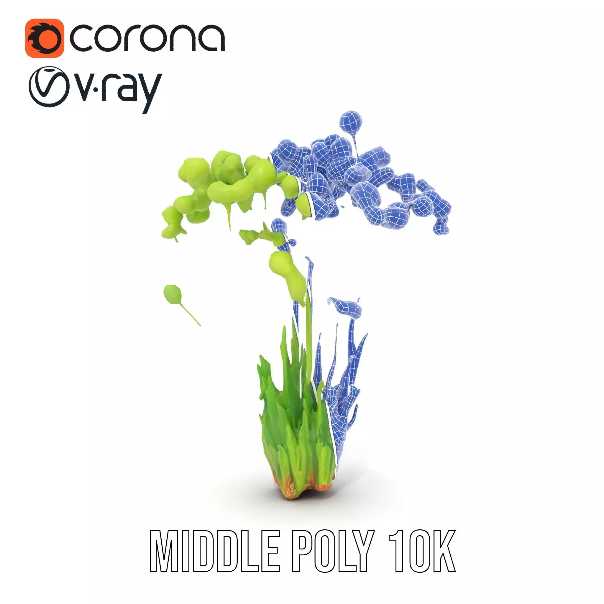 Green Seed Pods model pack Low-poly 3D model_29