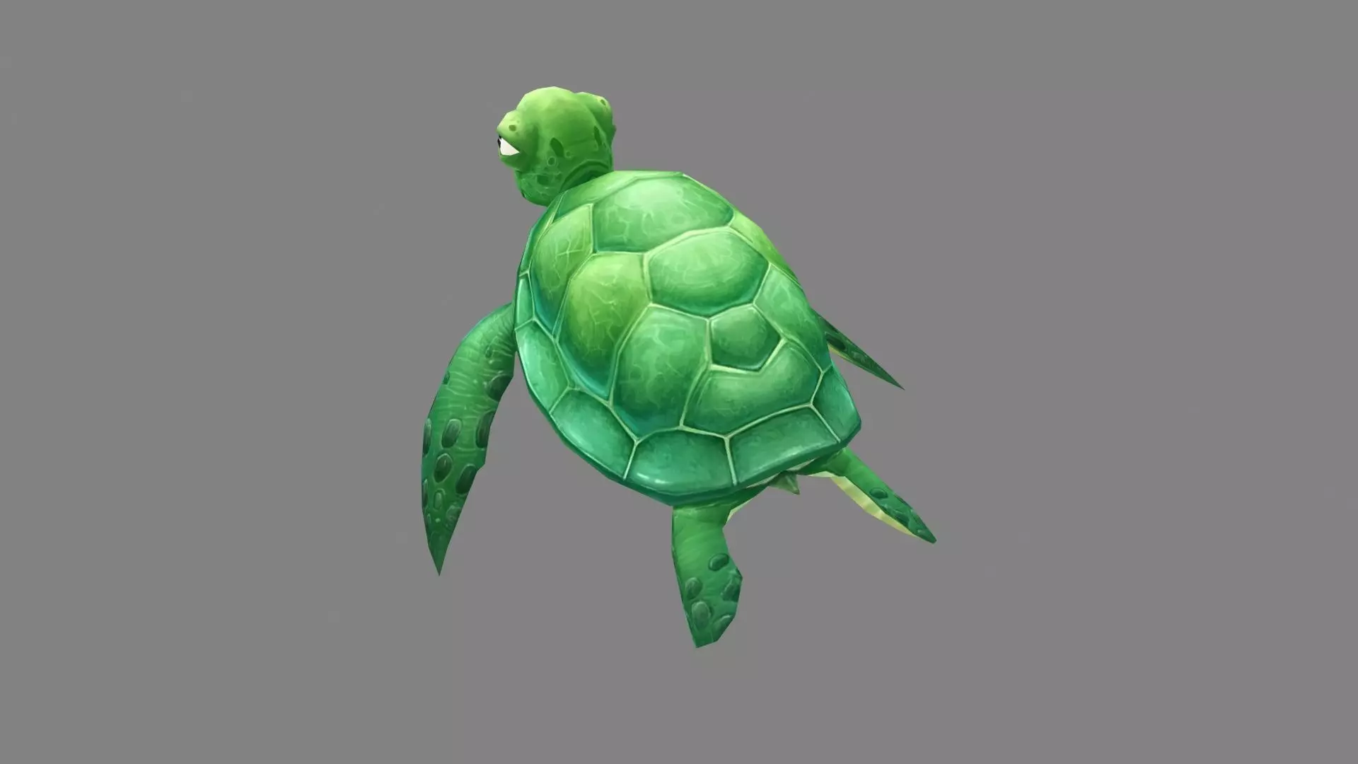 Cartoon Green Turtle Low-poly 3D model_2