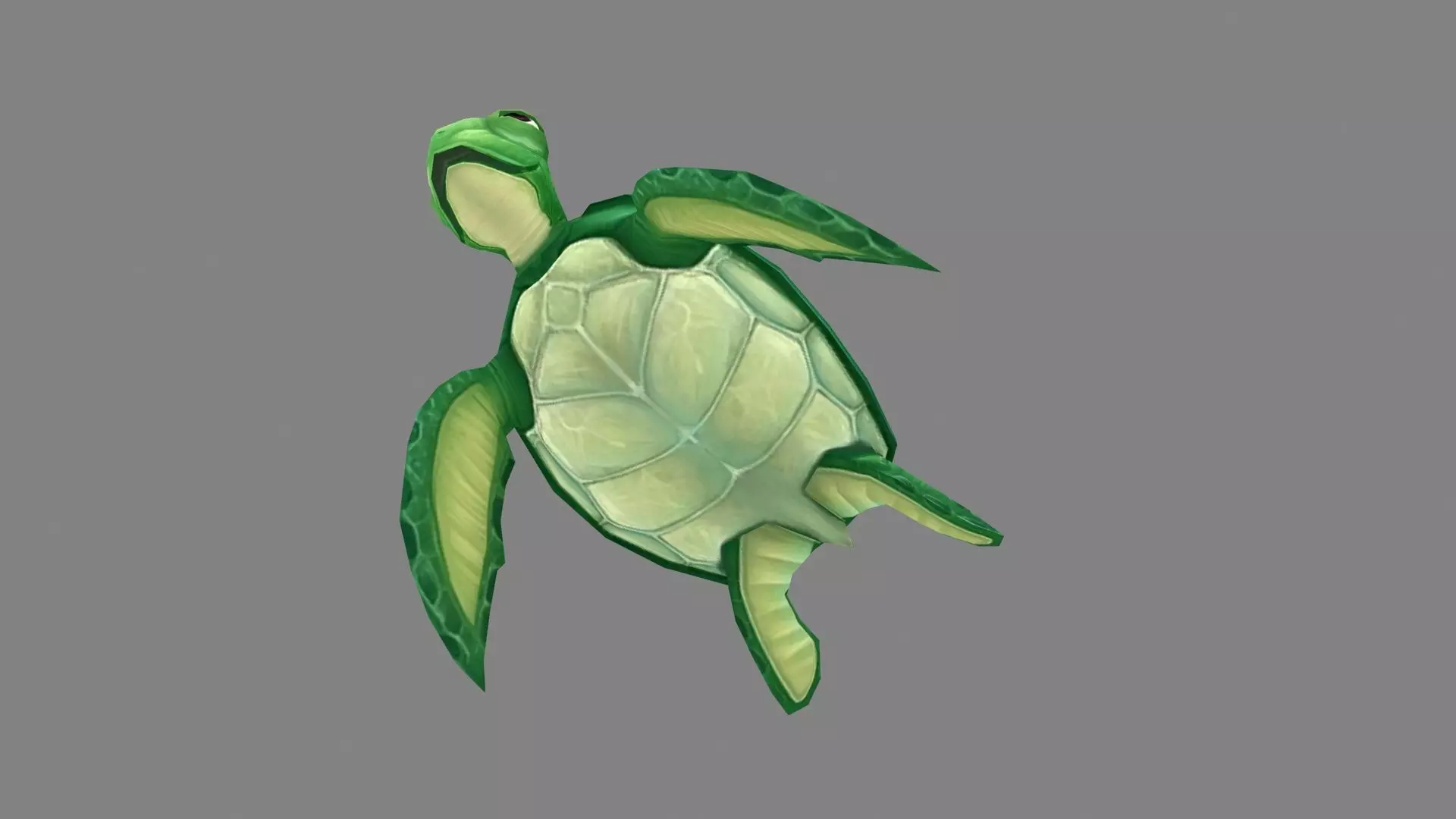 Cartoon Green Turtle Low-poly 3D model_3