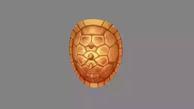 Cartoon Turtle Shell Shield
