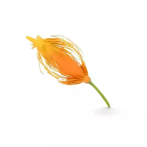 Vivid Yellow Flower model pack