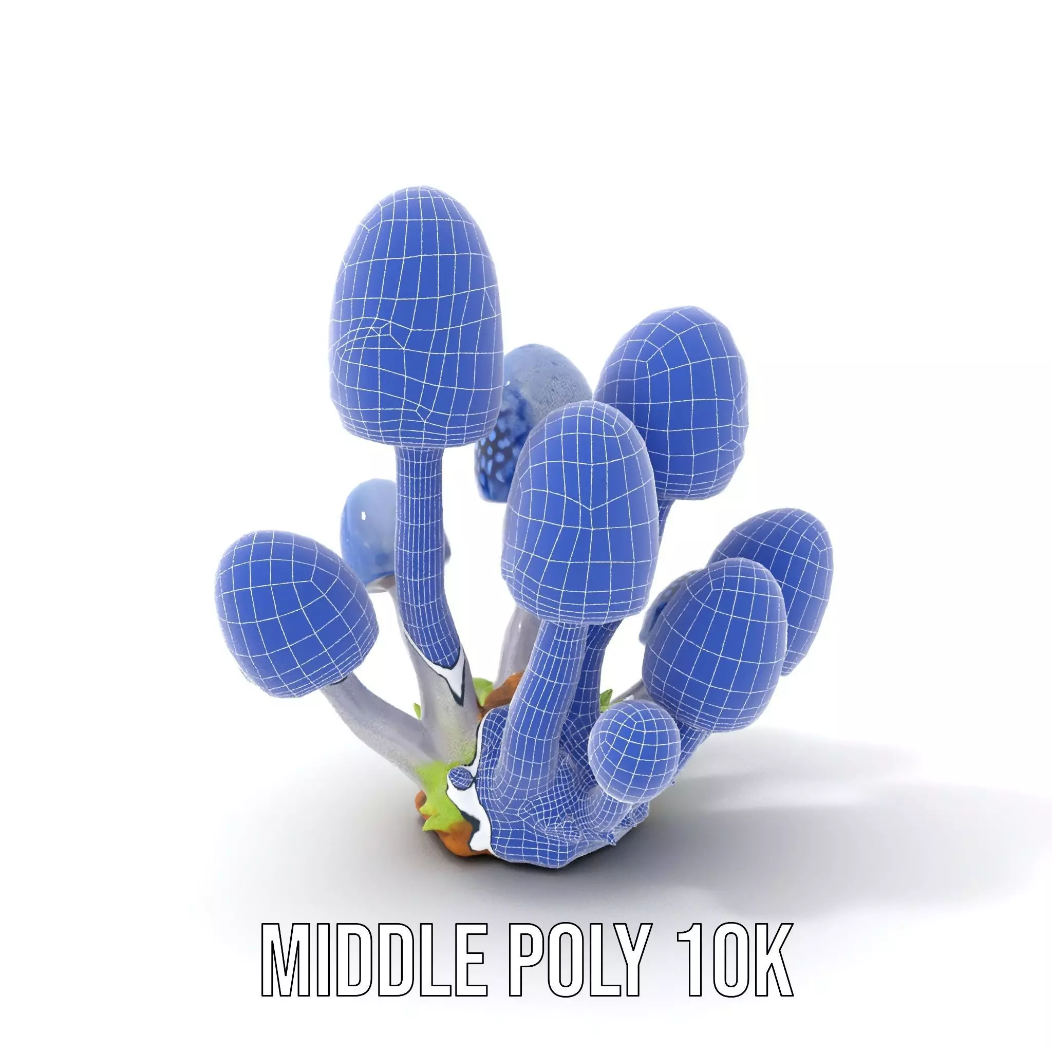 Blue Fuzzy Mushroom model pack Low-poly 3D model_30