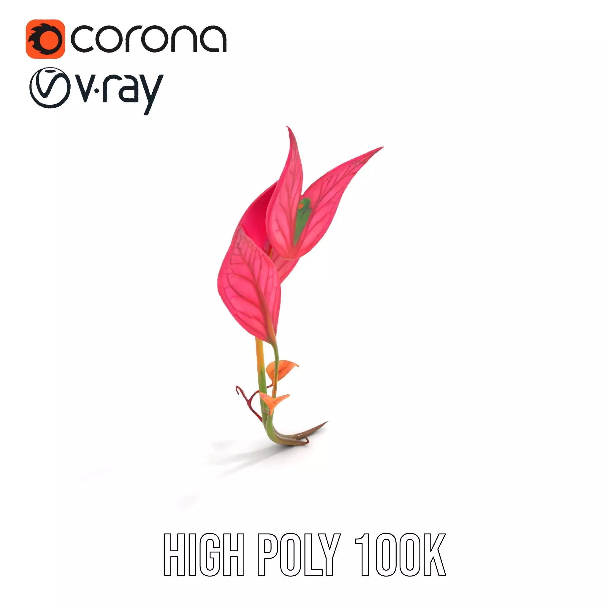 Pink Botanical Leaves model pack Low-poly 3D model_18