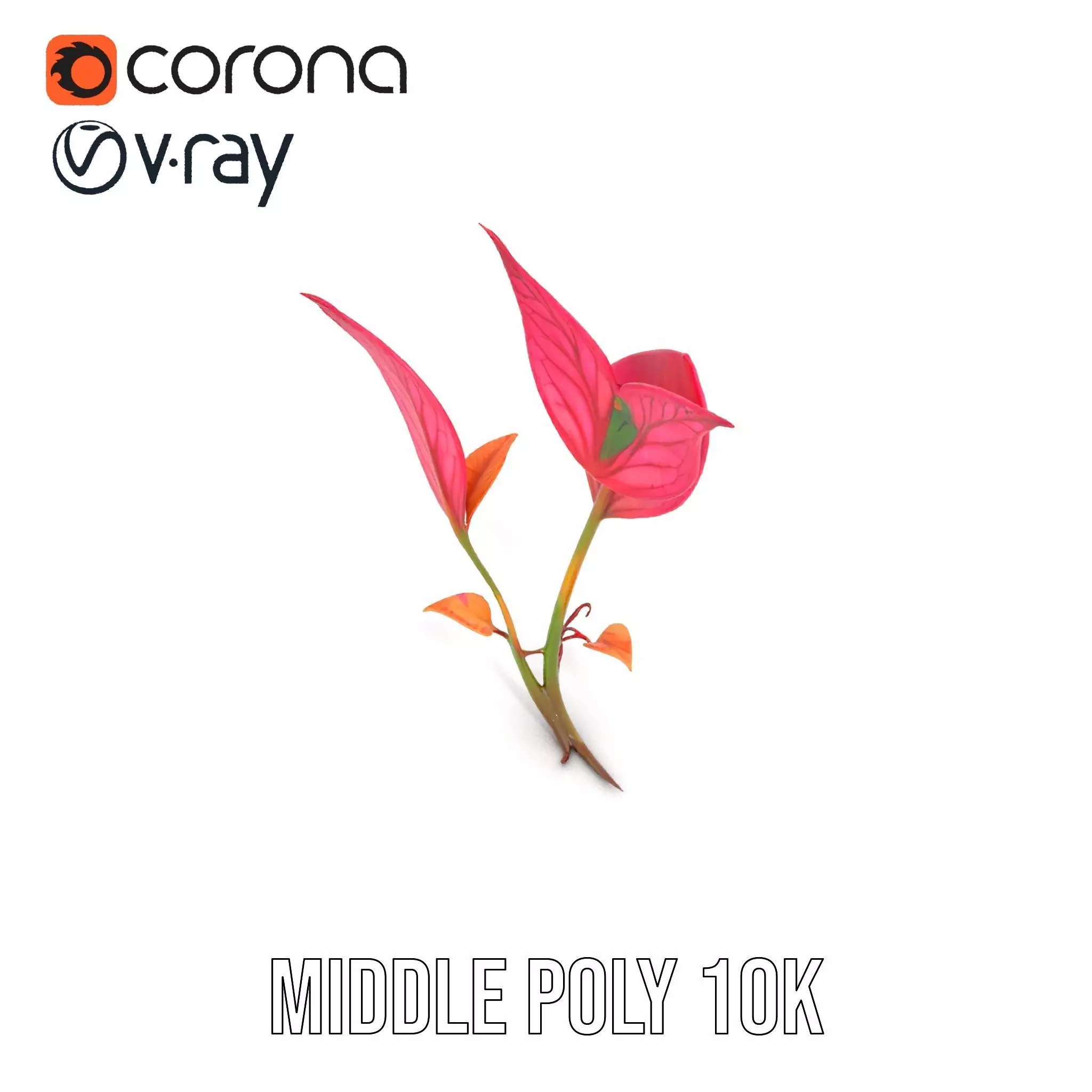 Pink Botanical Leaves model pack Low-poly 3D model_6