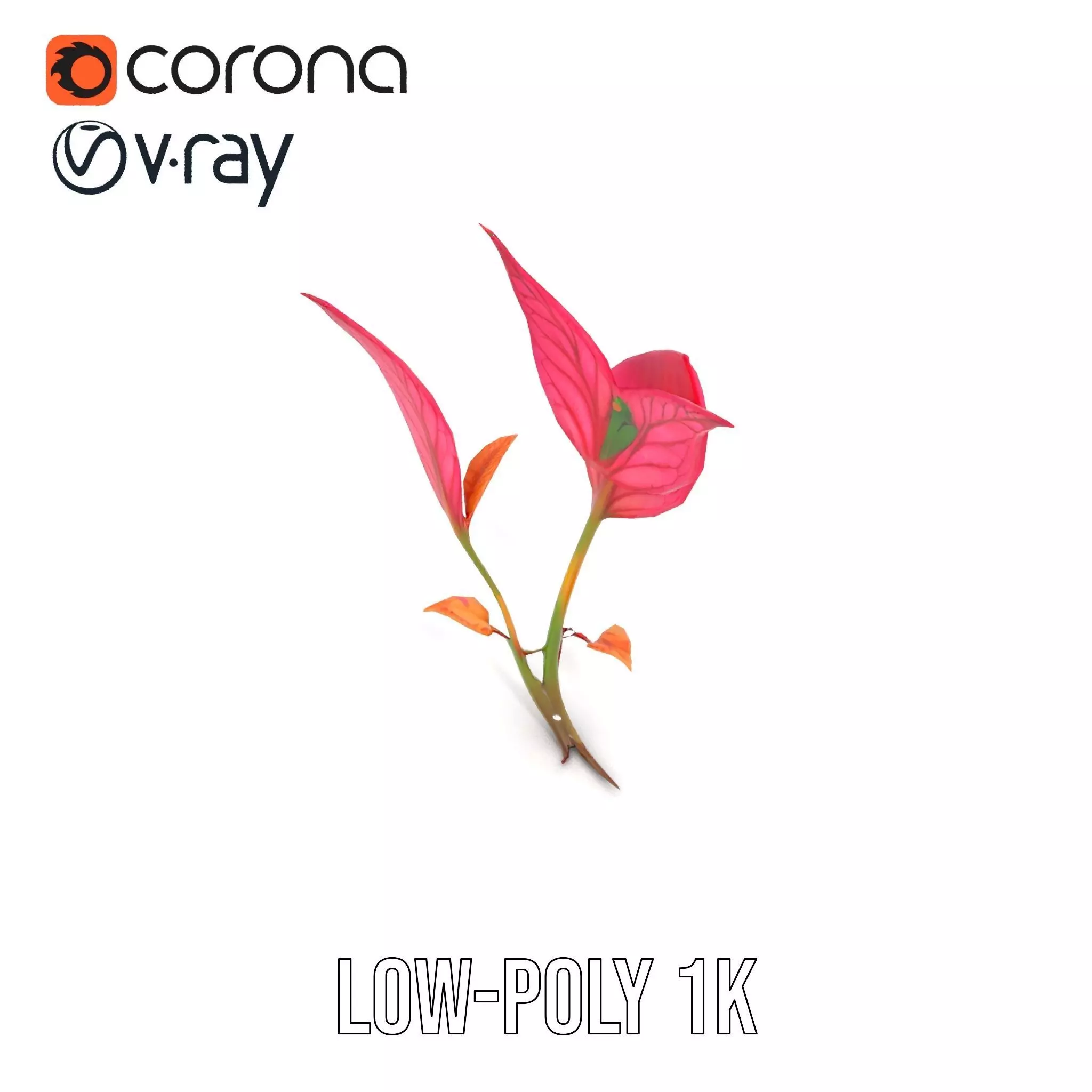 Pink Botanical Leaves model pack Low-poly 3D model_9