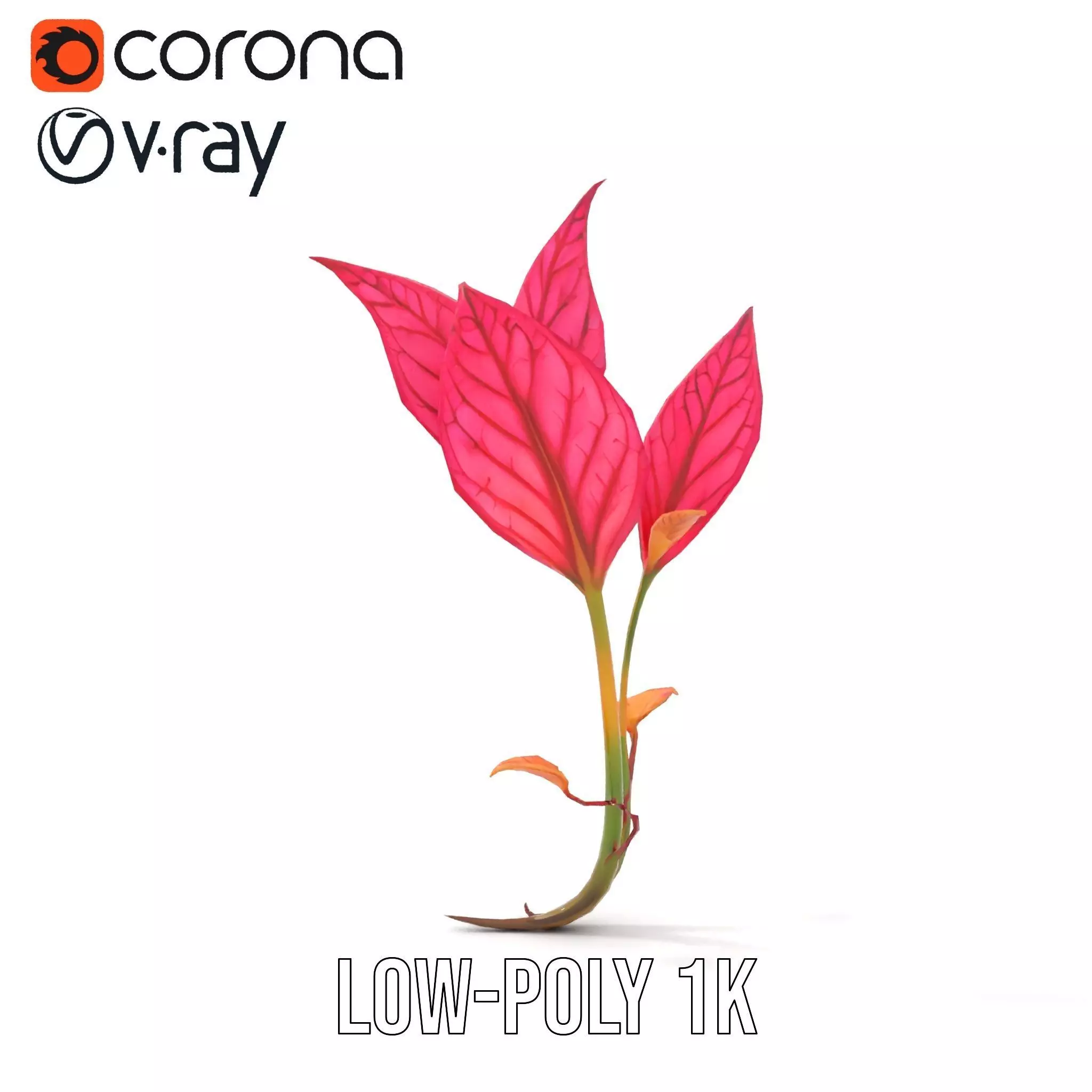 Pink Botanical Leaves model pack Low-poly 3D model_17
