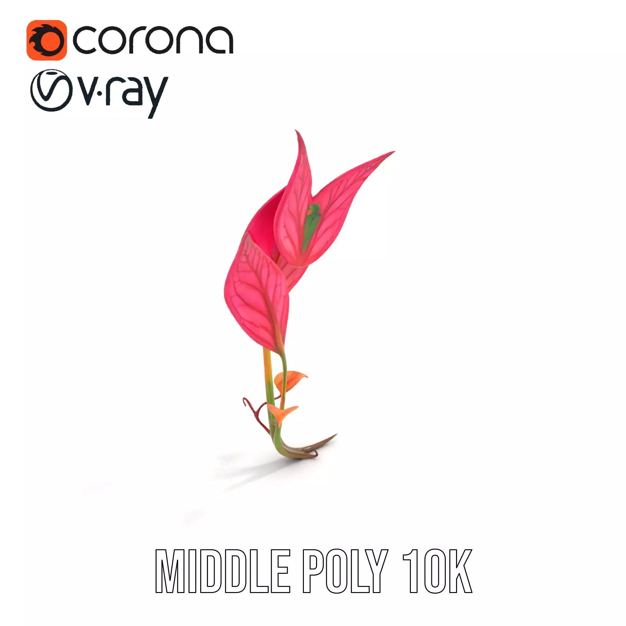 Pink Botanical Leaves model pack Low-poly 3D model_22