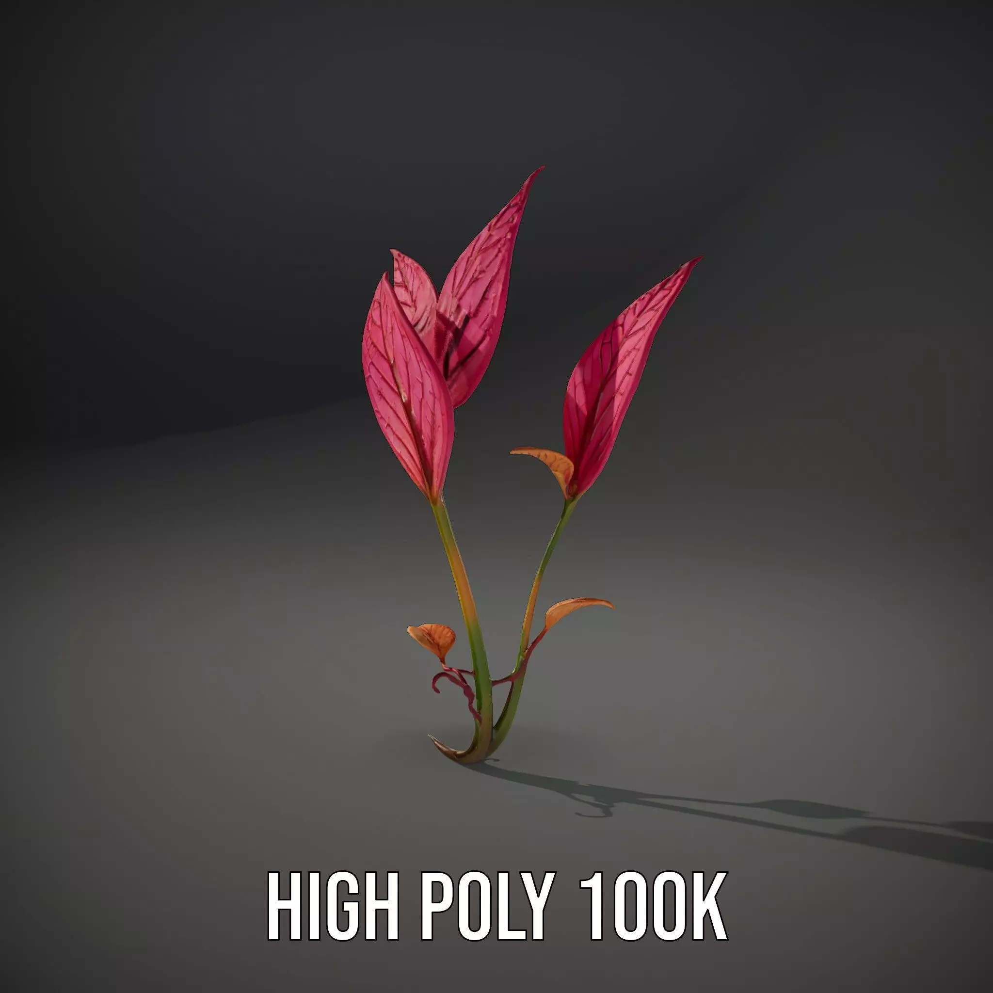 Pink Botanical Leaves model pack Low-poly 3D model_8