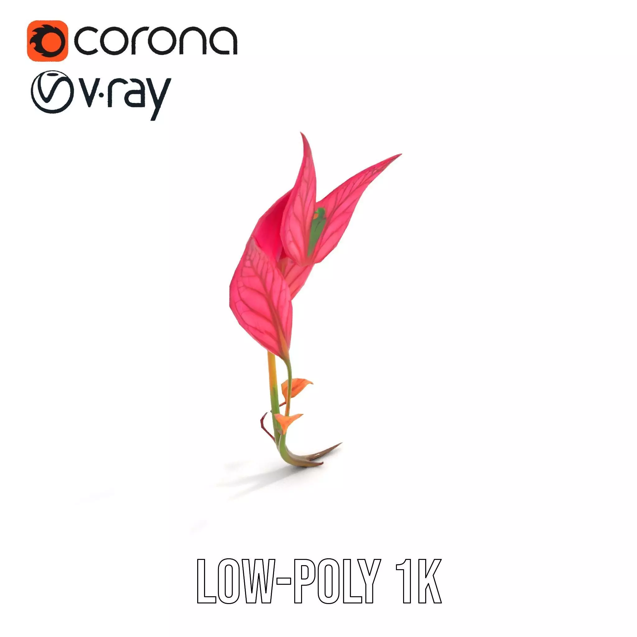 Pink Botanical Leaves model pack Low-poly 3D model_7