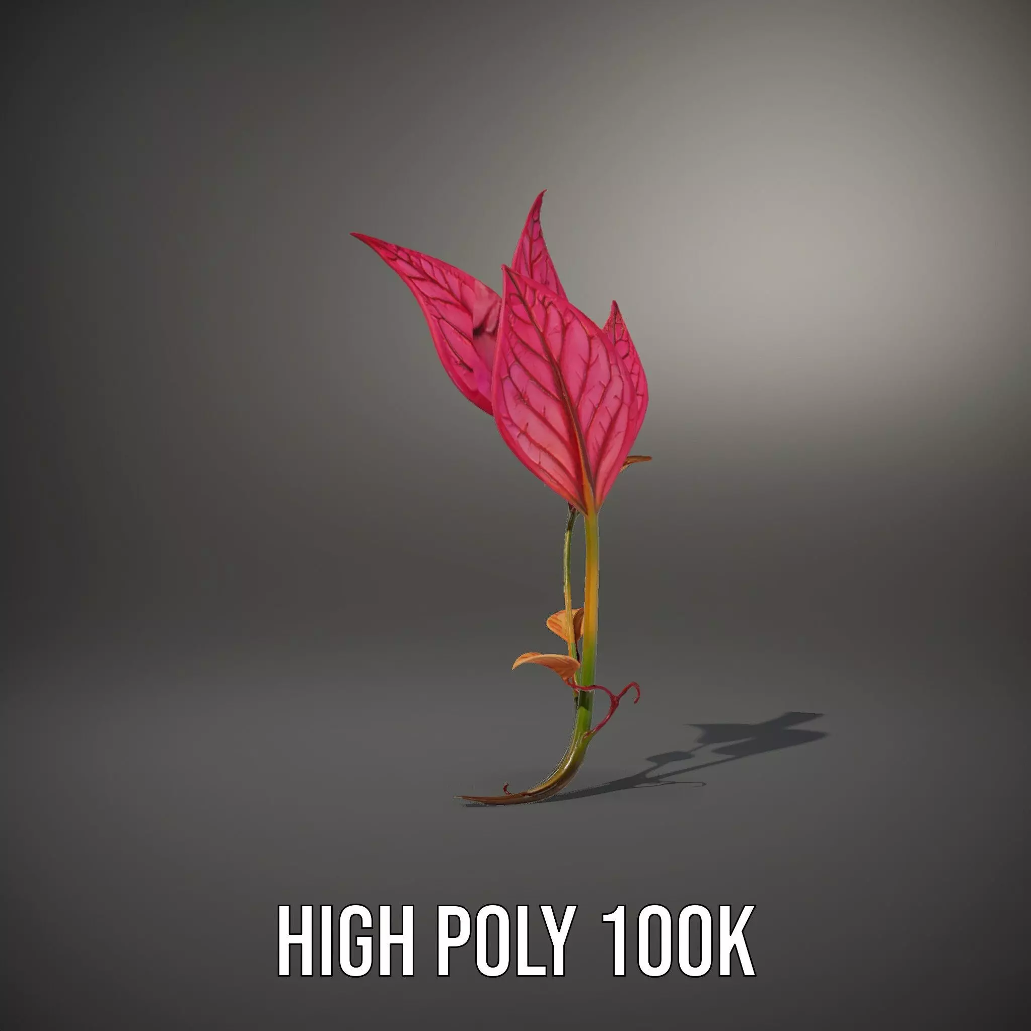 Pink Botanical Leaves model pack Low-poly 3D model_10