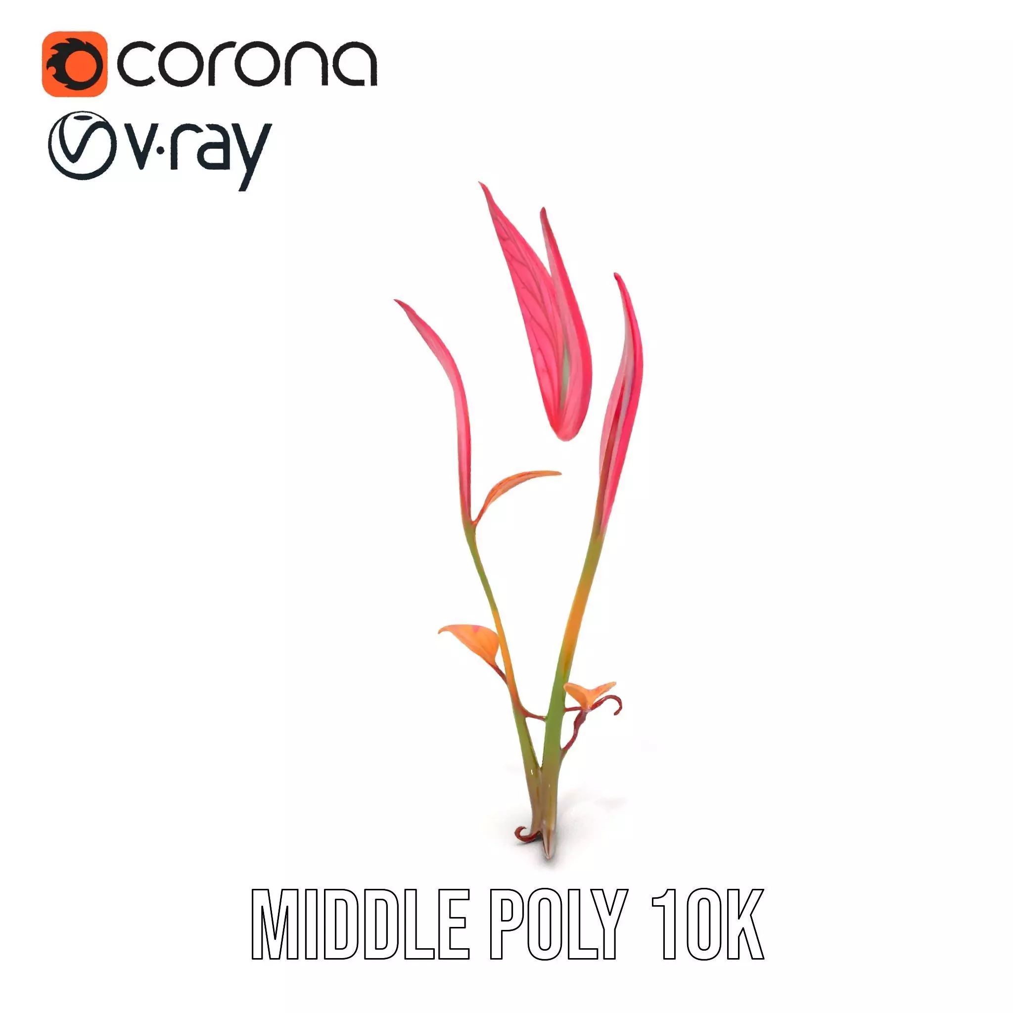 Pink Botanical Leaves model pack Low-poly 3D model_13