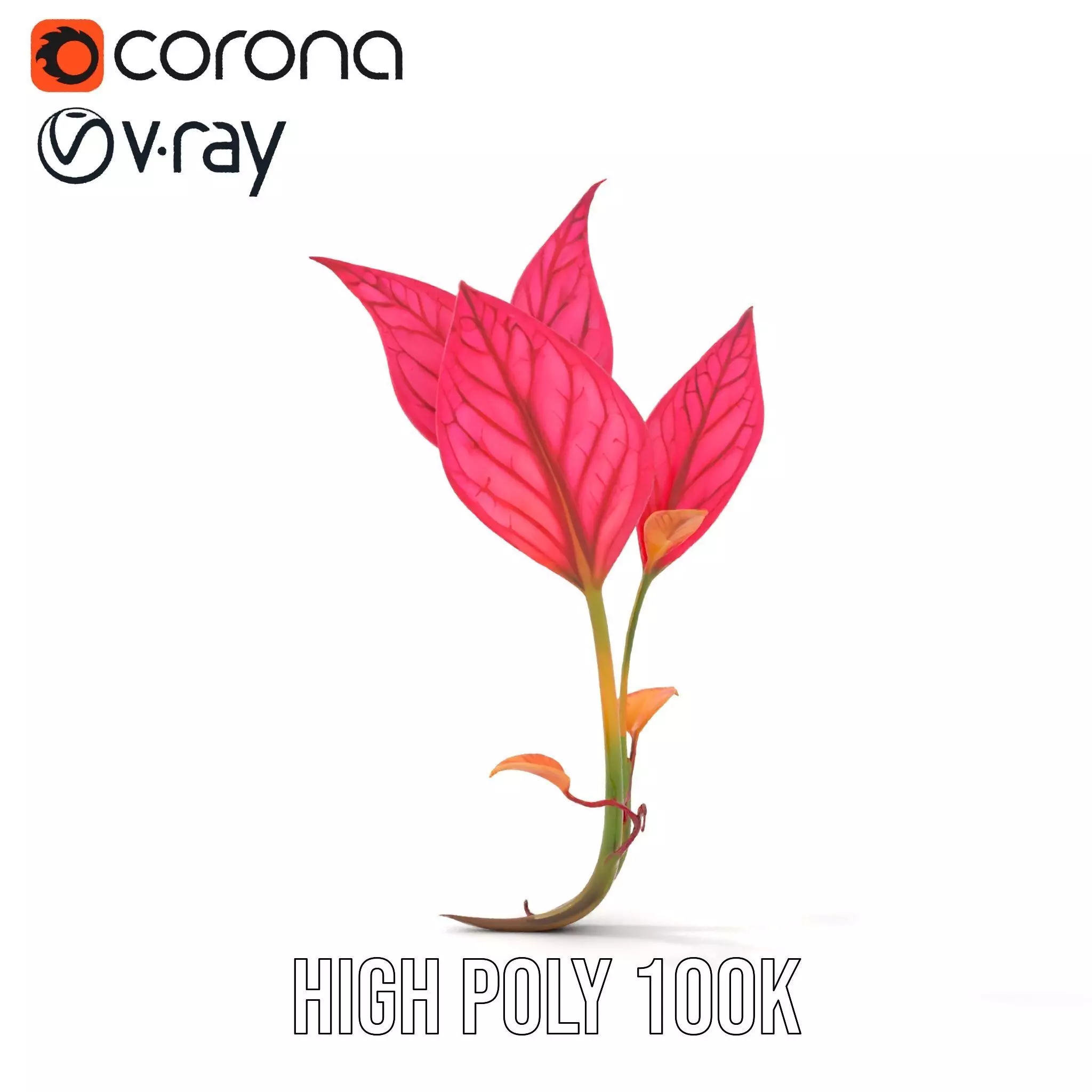 Pink Botanical Leaves model pack Low-poly 3D model_21