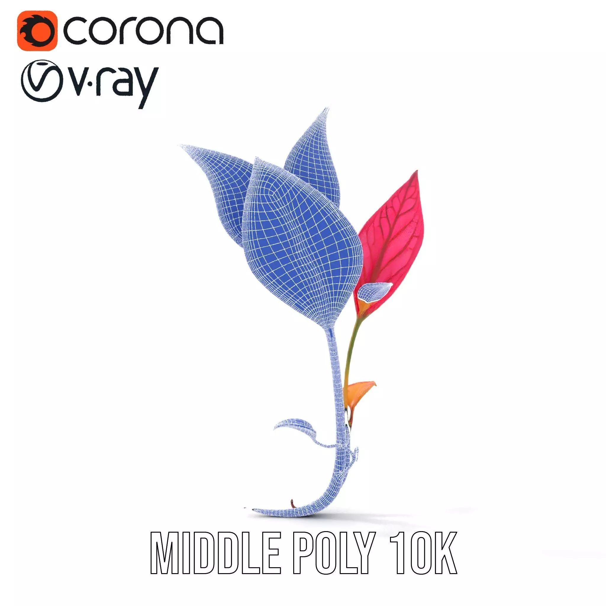 Pink Botanical Leaves model pack Low-poly 3D model_19