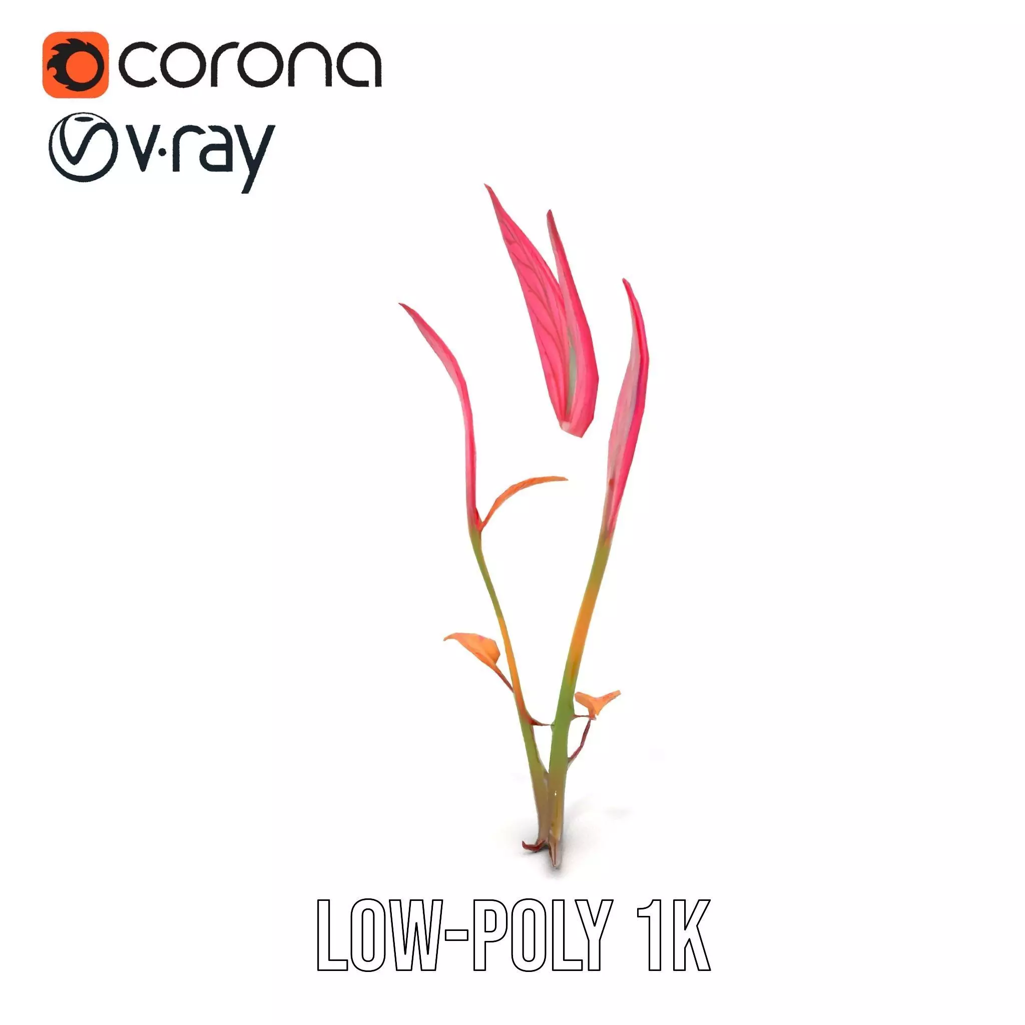 Pink Botanical Leaves model pack Low-poly 3D model_12