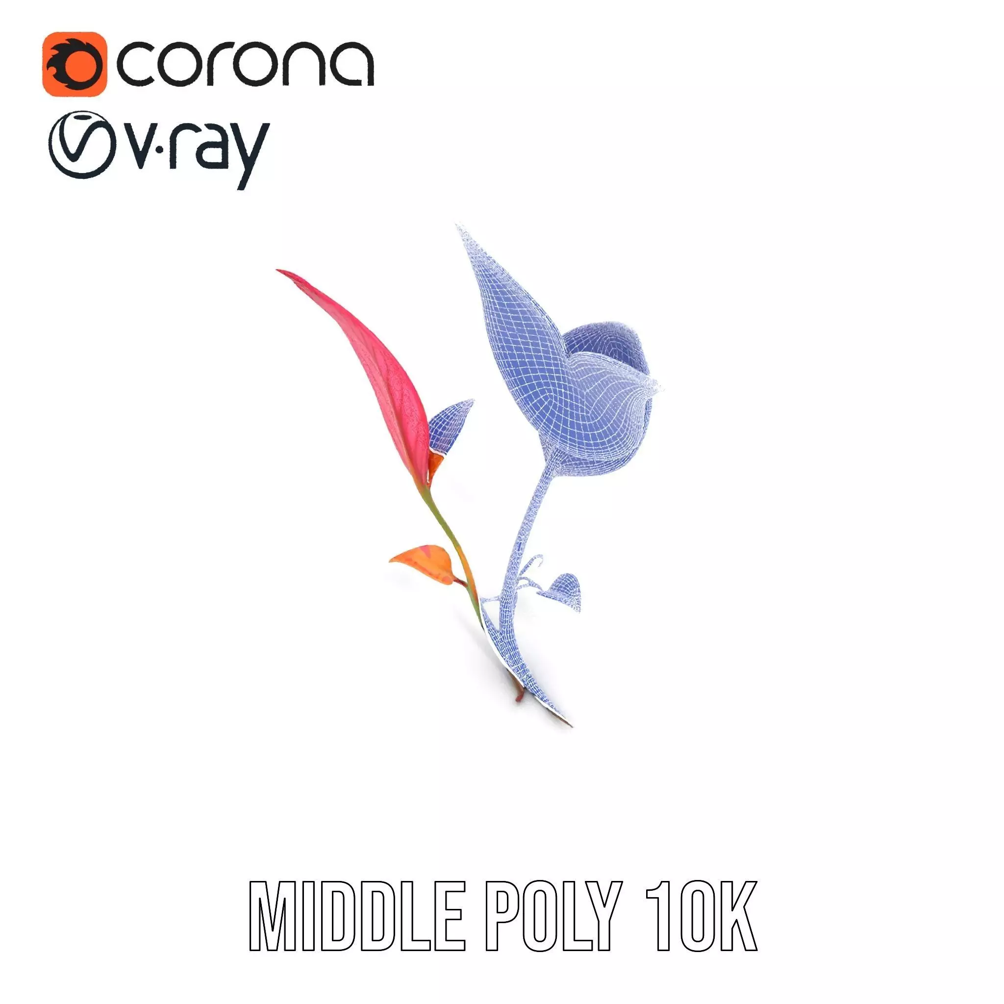 Pink Botanical Leaves model pack Low-poly 3D model_29