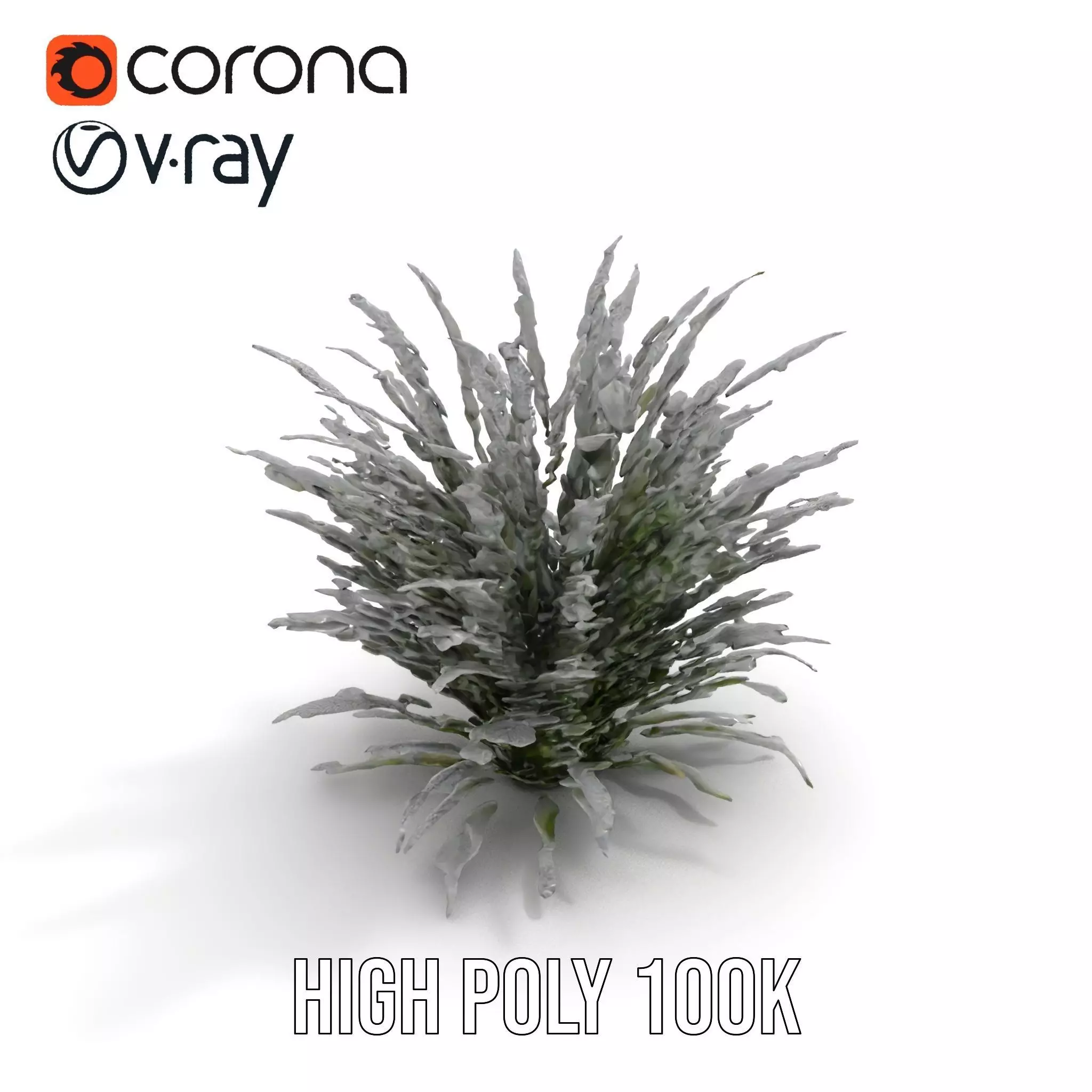 Lavender Fern model pack Low-poly 3D model_14