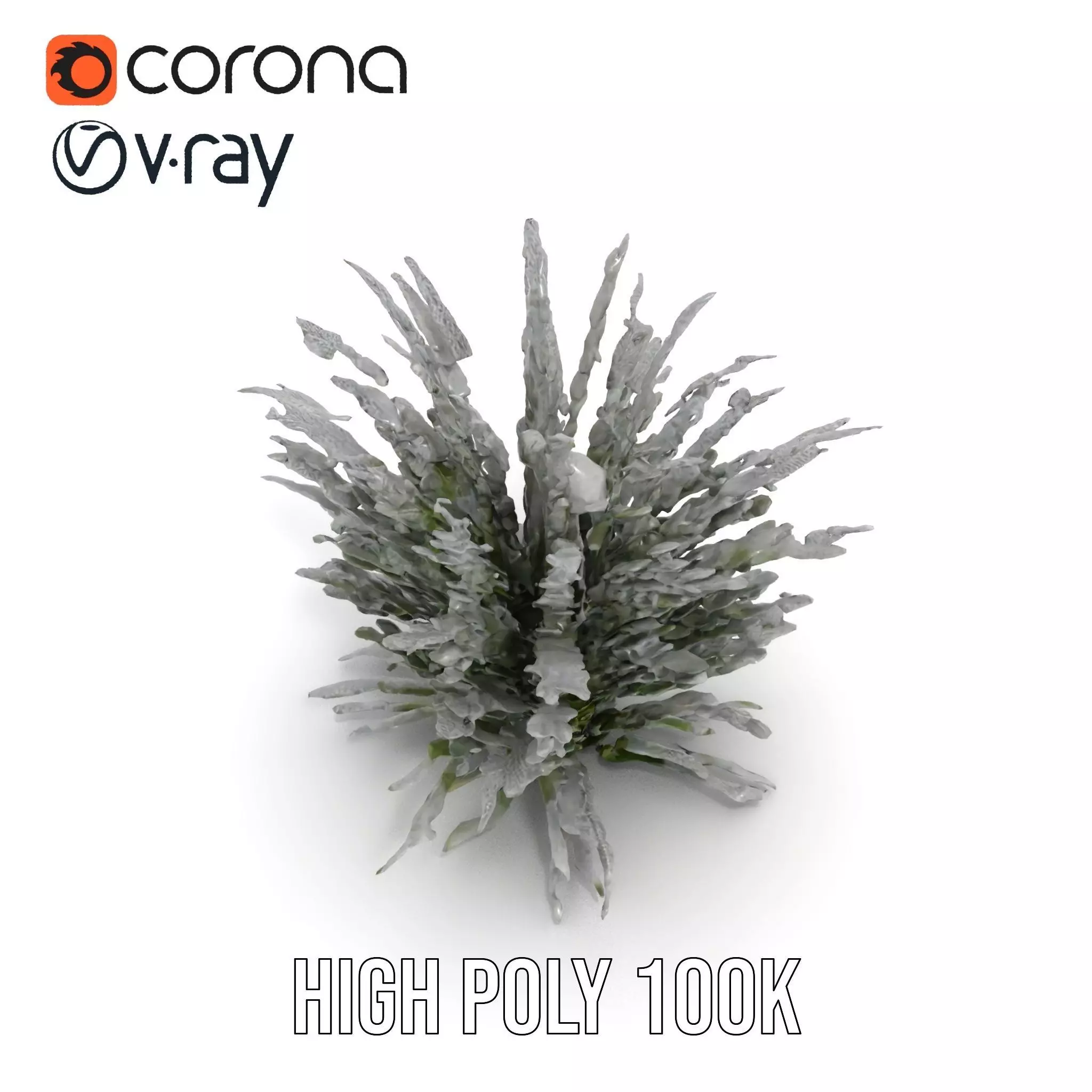 Lavender Fern model pack Low-poly 3D model_17
