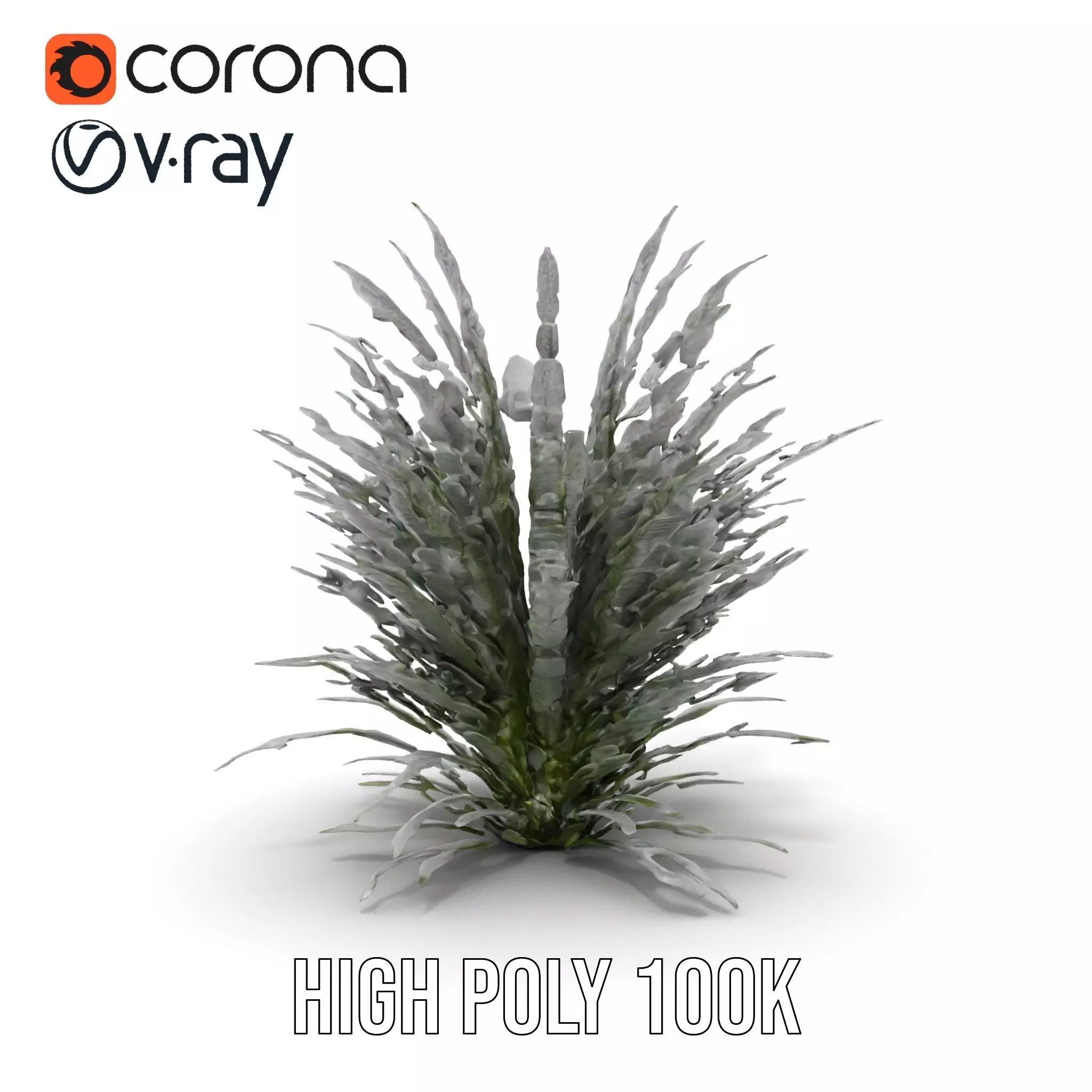 Lavender Fern model pack Low-poly 3D model_7