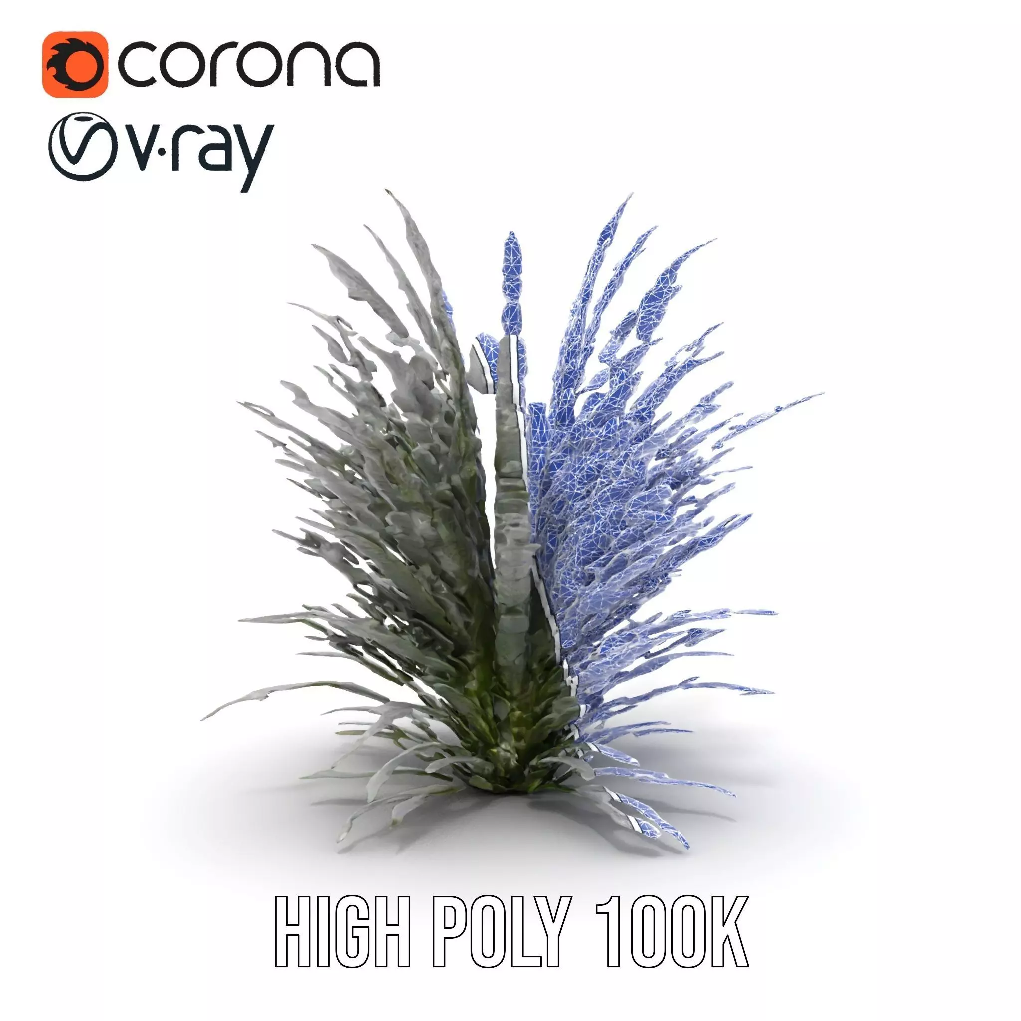 Lavender Fern model pack Low-poly 3D model_29