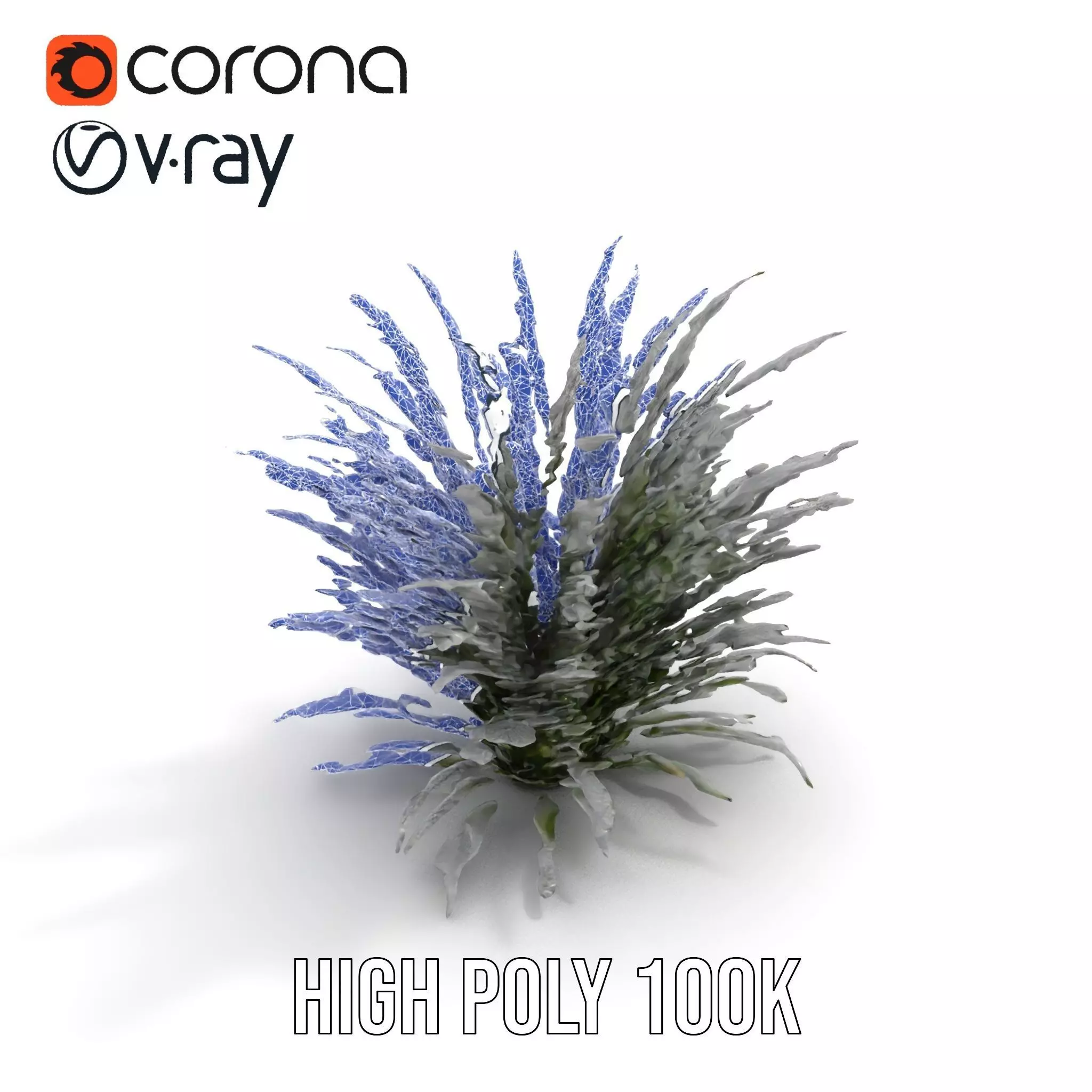 Lavender Fern model pack Low-poly 3D model_31