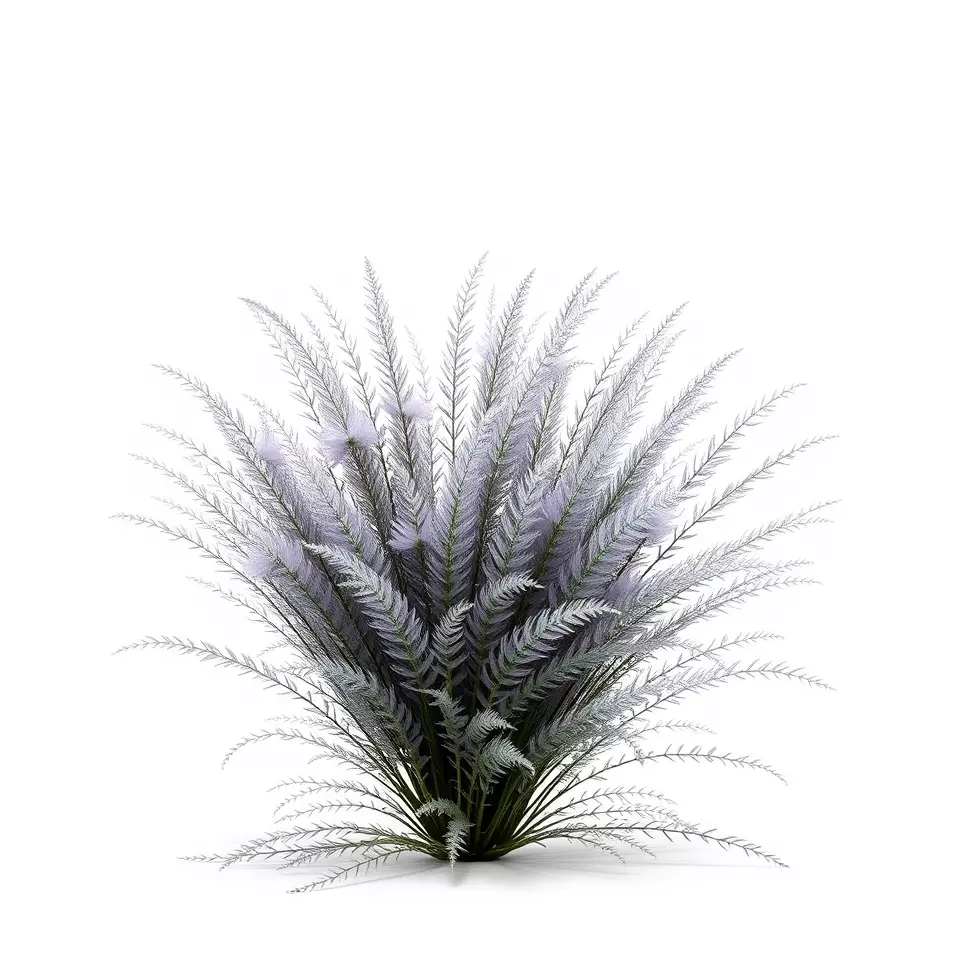 Lavender Fern model pack Low-poly 3D model_2
