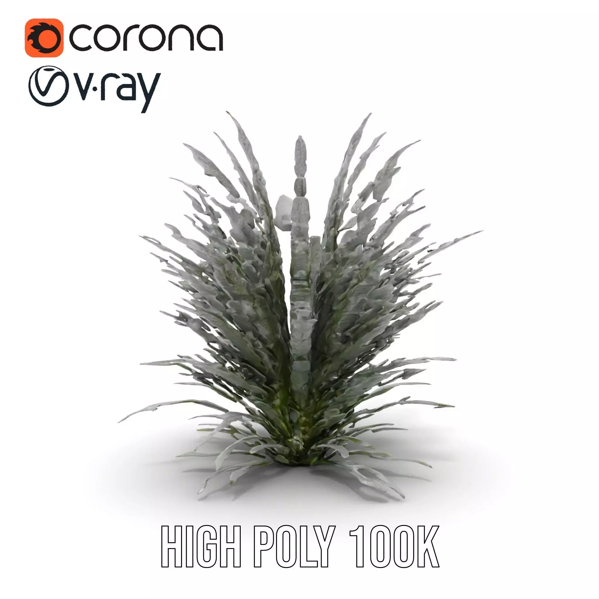 Lavender Fern model pack Low-poly 3D model_18