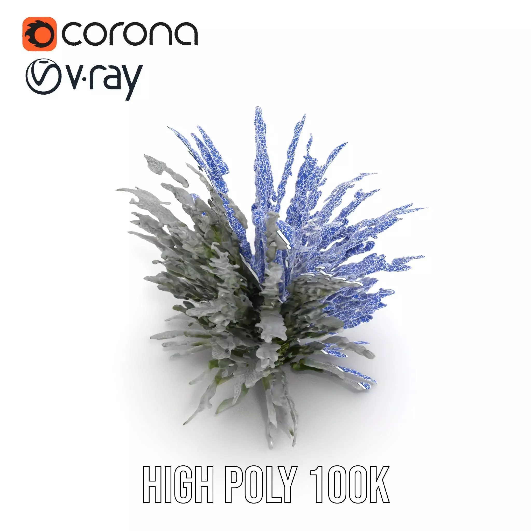 Lavender Fern model pack Low-poly 3D model_32