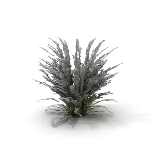 Lavender Fern model pack Low-poly 3D model