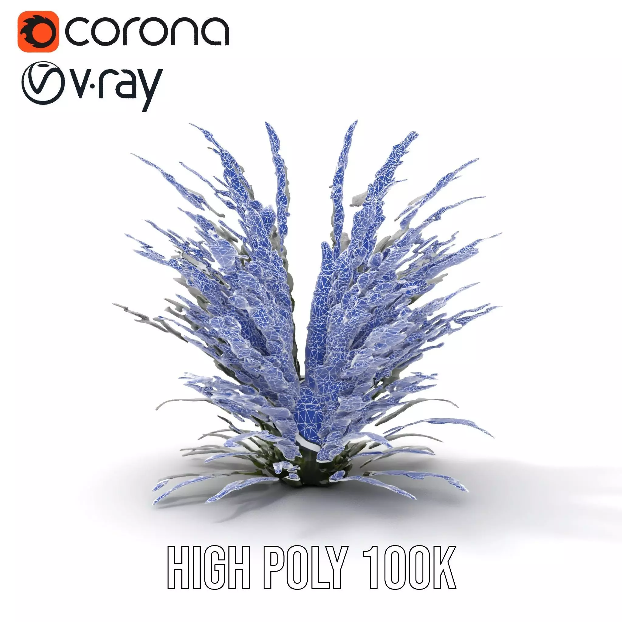 Lavender Fern model pack Low-poly 3D model_27