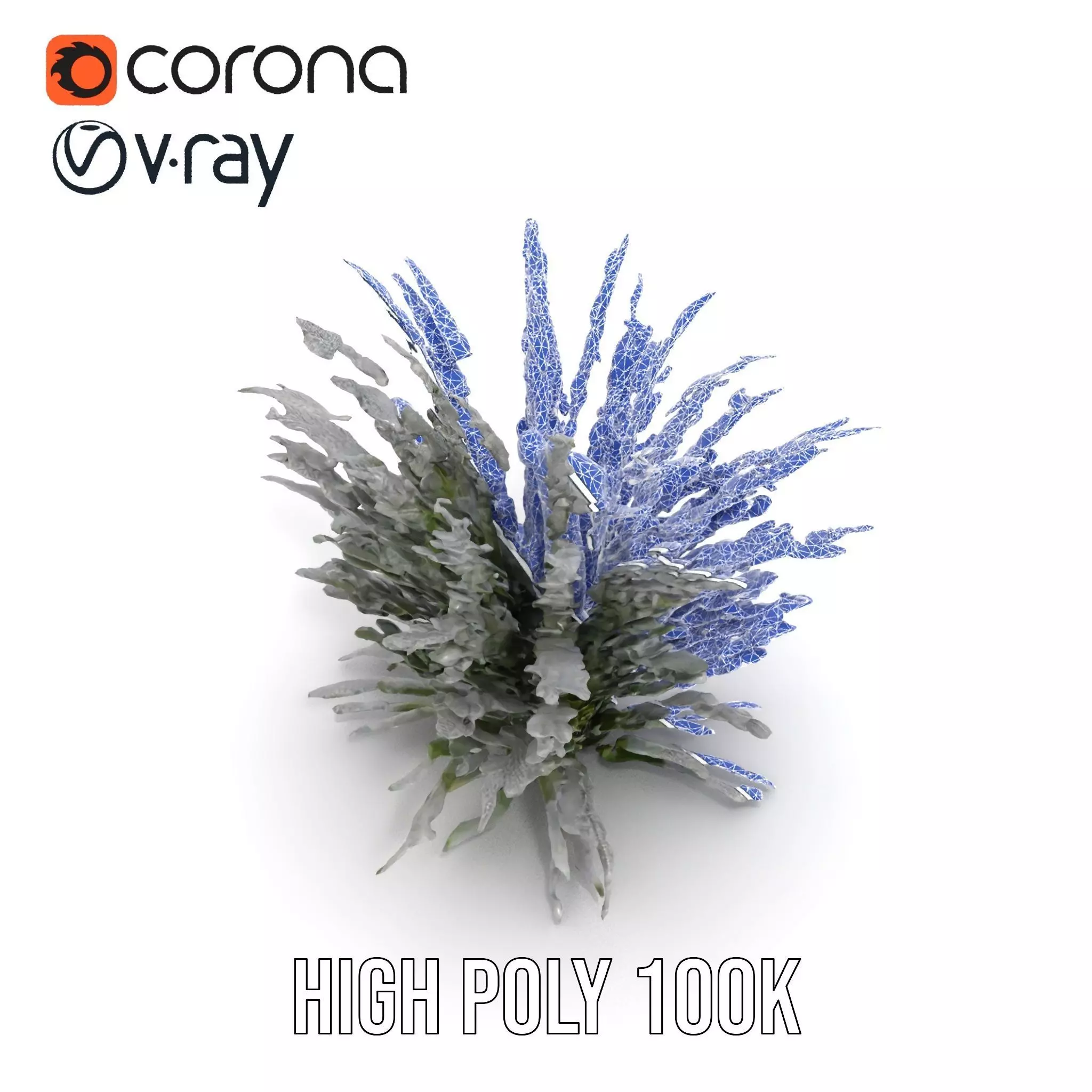 Lavender Fern model pack Low-poly 3D model_24